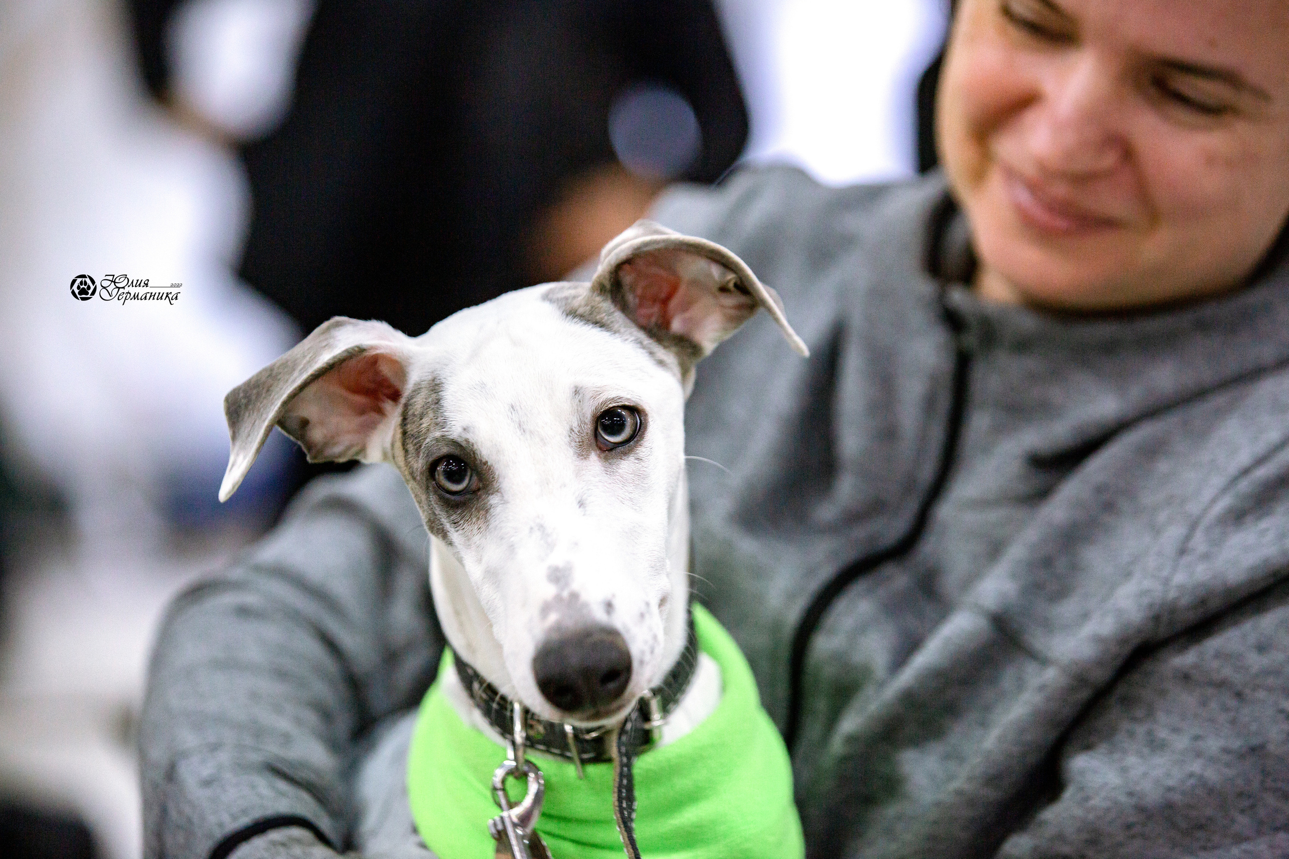 Чайна-Таун 13 и 20 марта 2022. Фотограф-анималист Юлия Германика