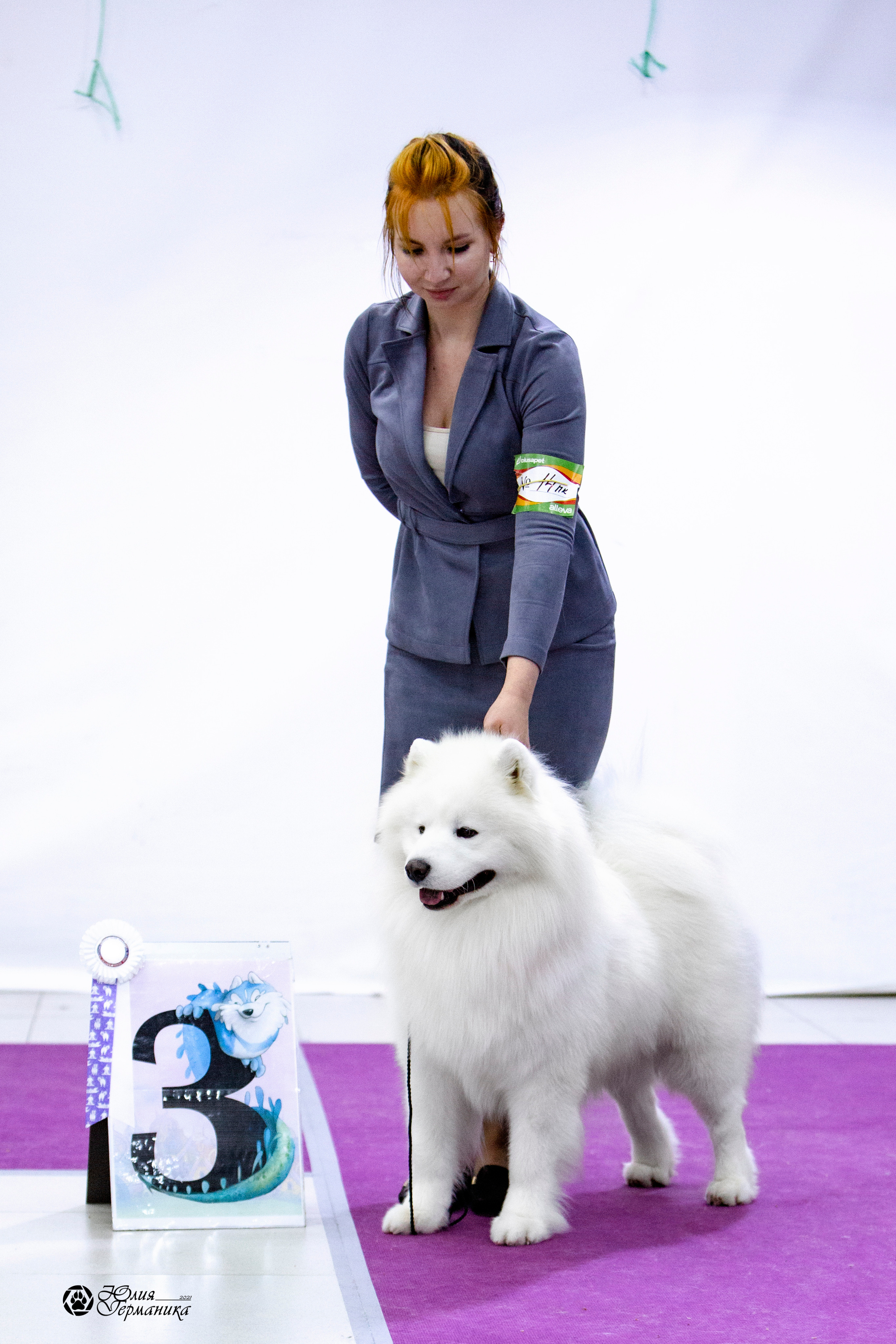 Чайна-Таун 18,26 и 29 декабря 2021. Фотограф-анималист Юлия Германика