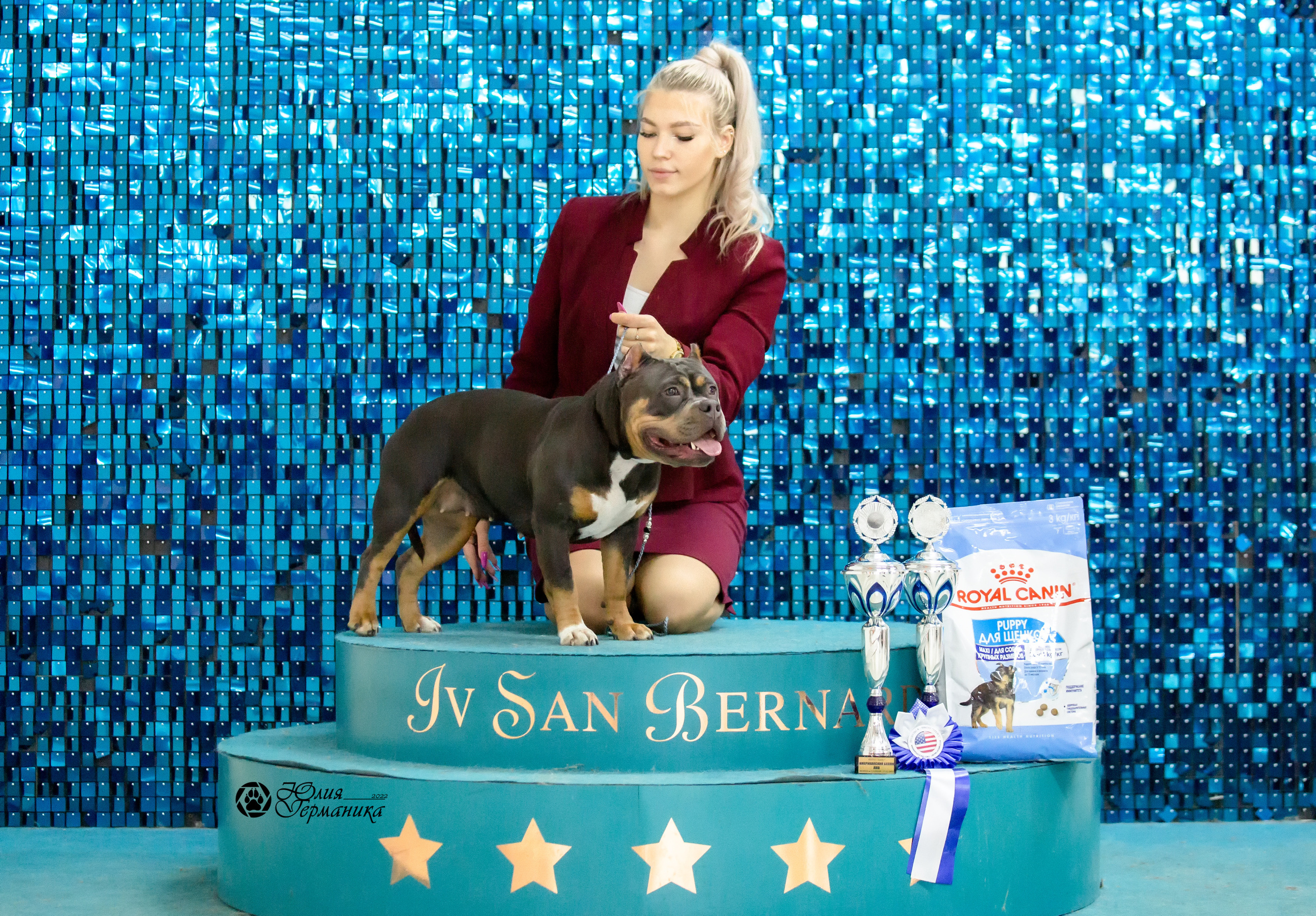 Чайна-Таун 27 февраля 2022. Фотограф-анималист Юлия Германика