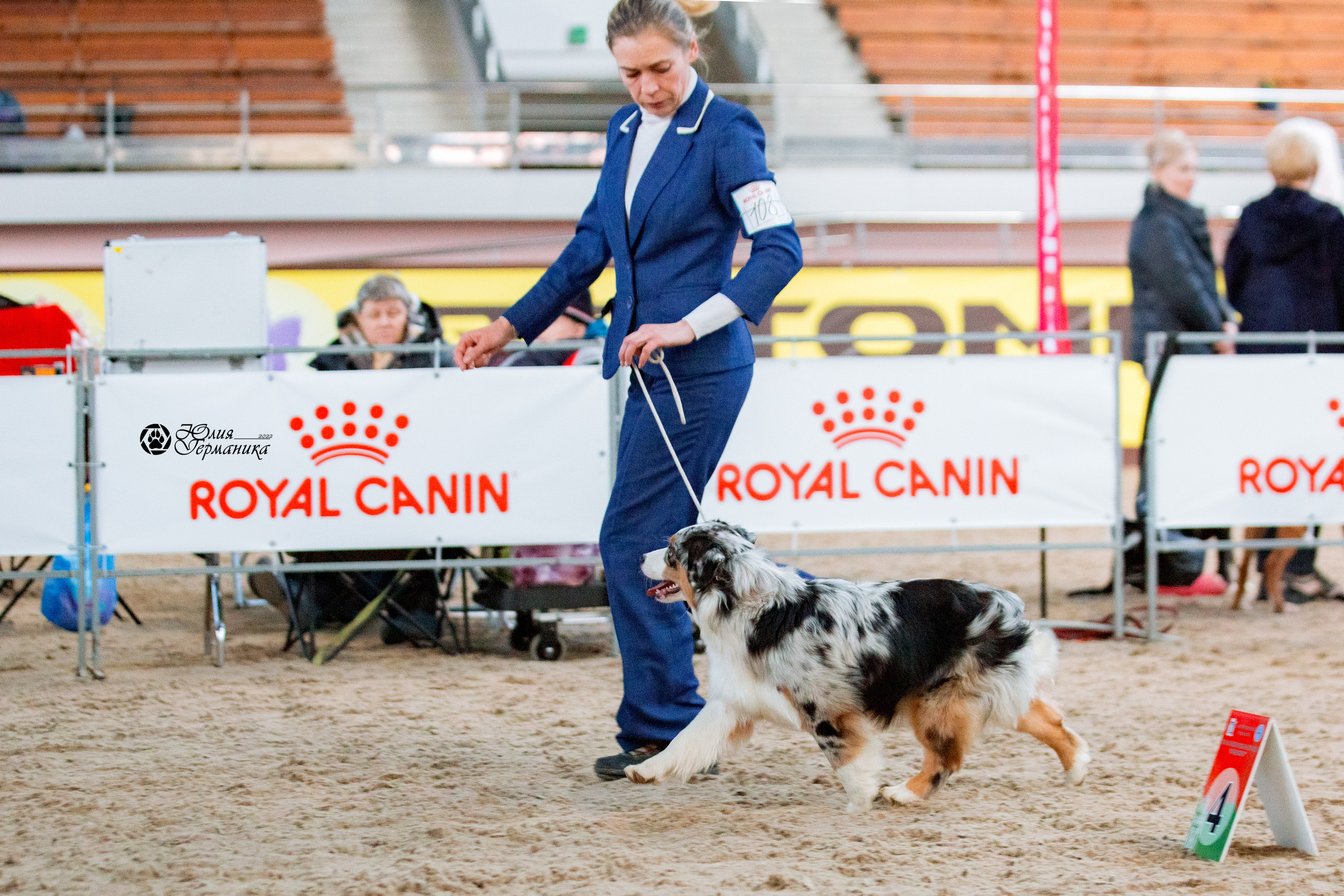 Минск 2хCACIB 5-6 марта 2022. Фотограф-анималист Юлия Германика