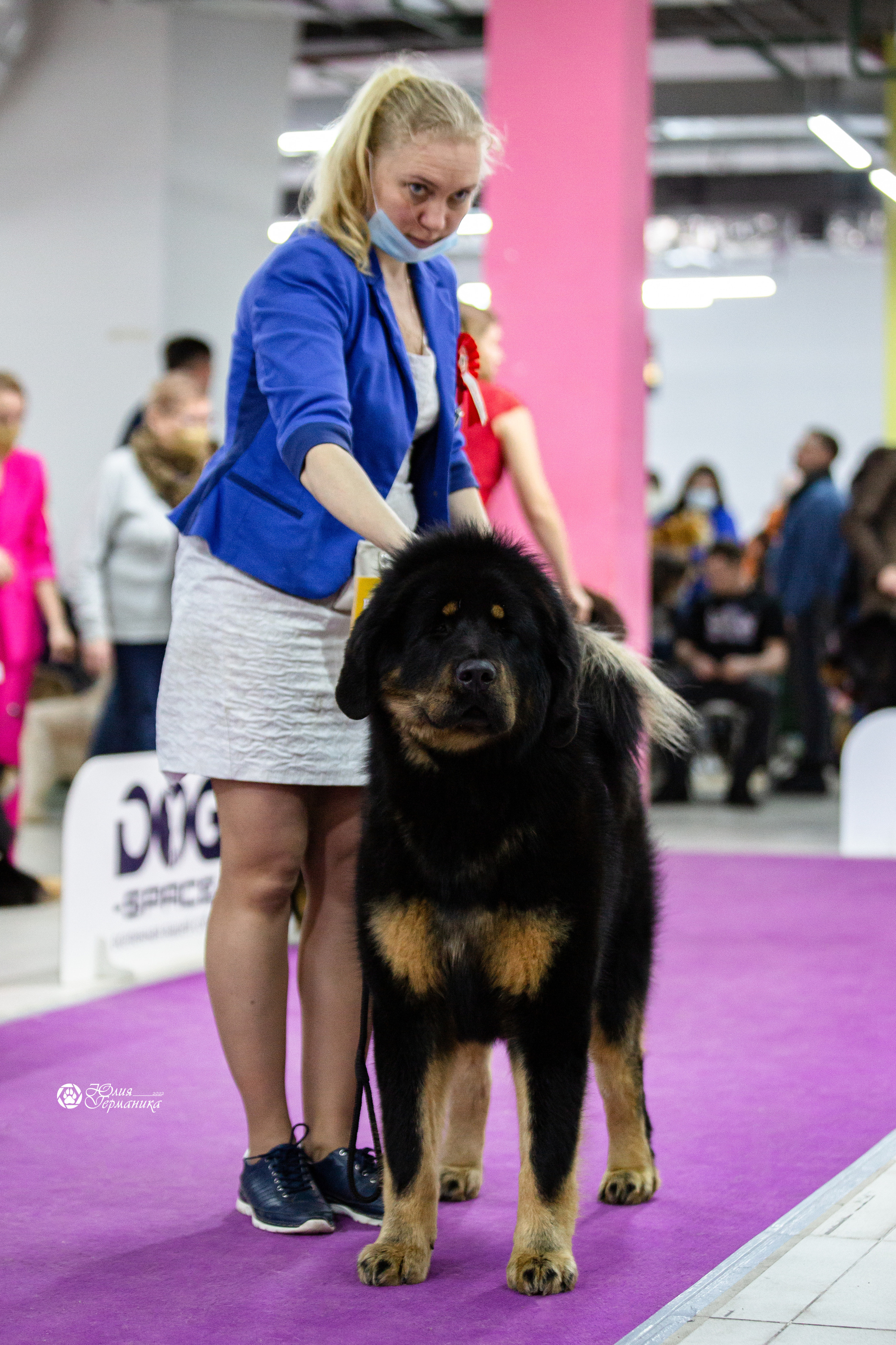 Чайна-Таун 29-30 января 2022. Фотограф-анималист Юлия Германика