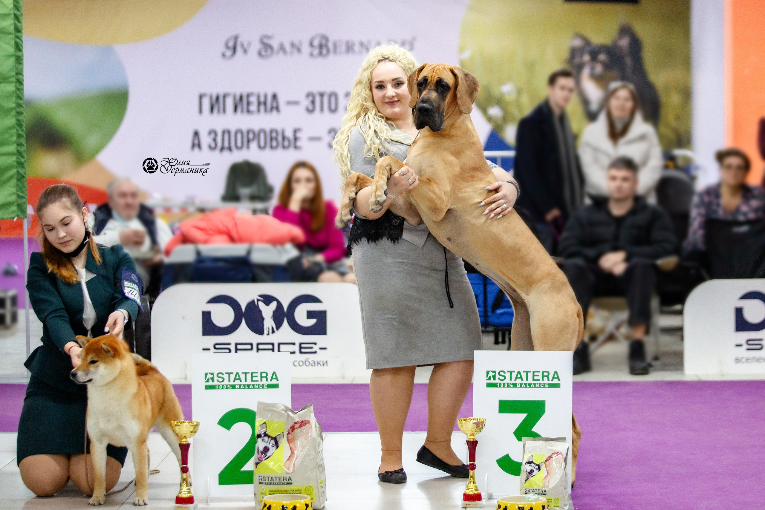 Чайна-Таун 23 февраля 2022. Фотограф-анималист Юлия Германика