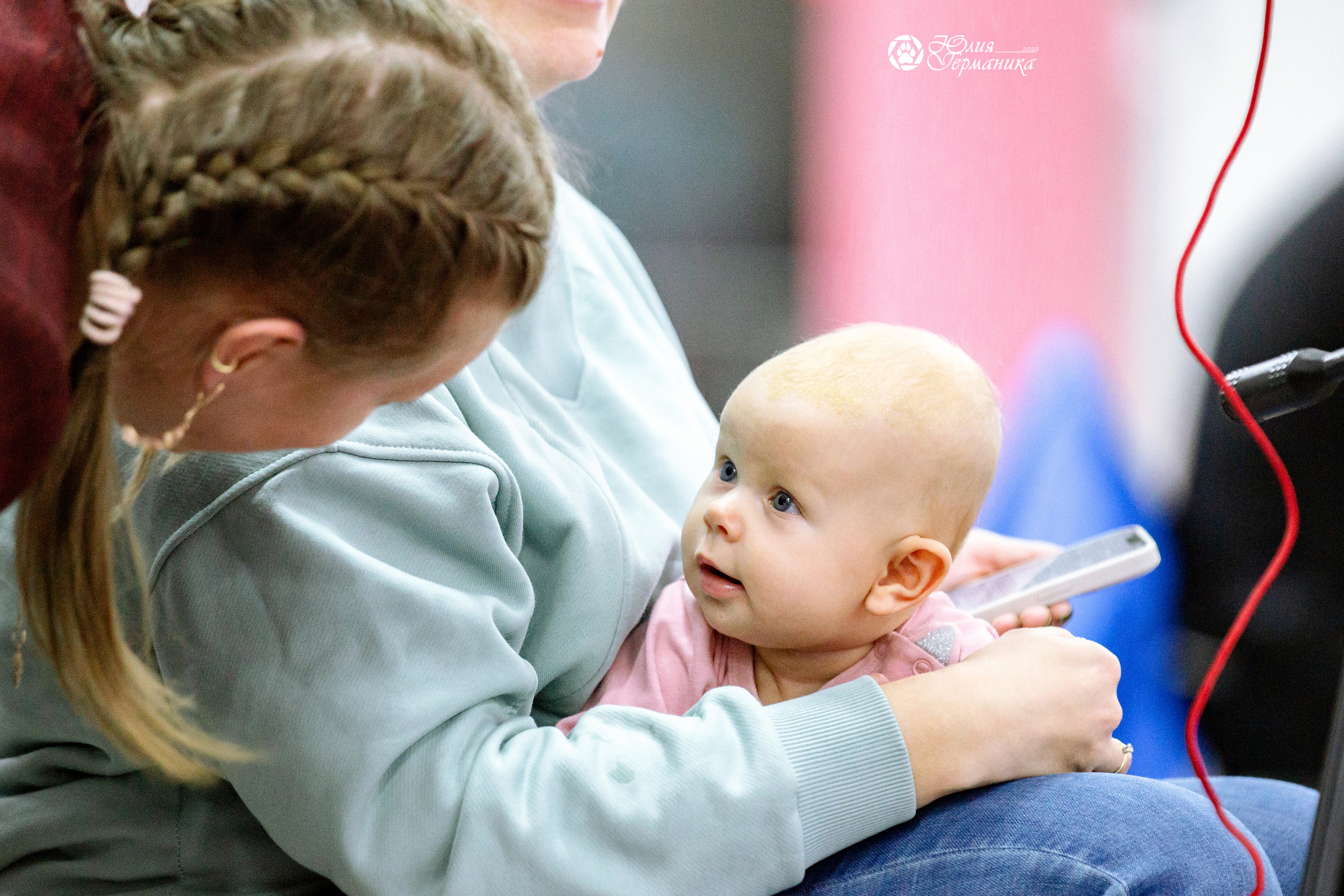 Чайна-Таун 23 февраля 2022. Фотограф-анималист Юлия Германика