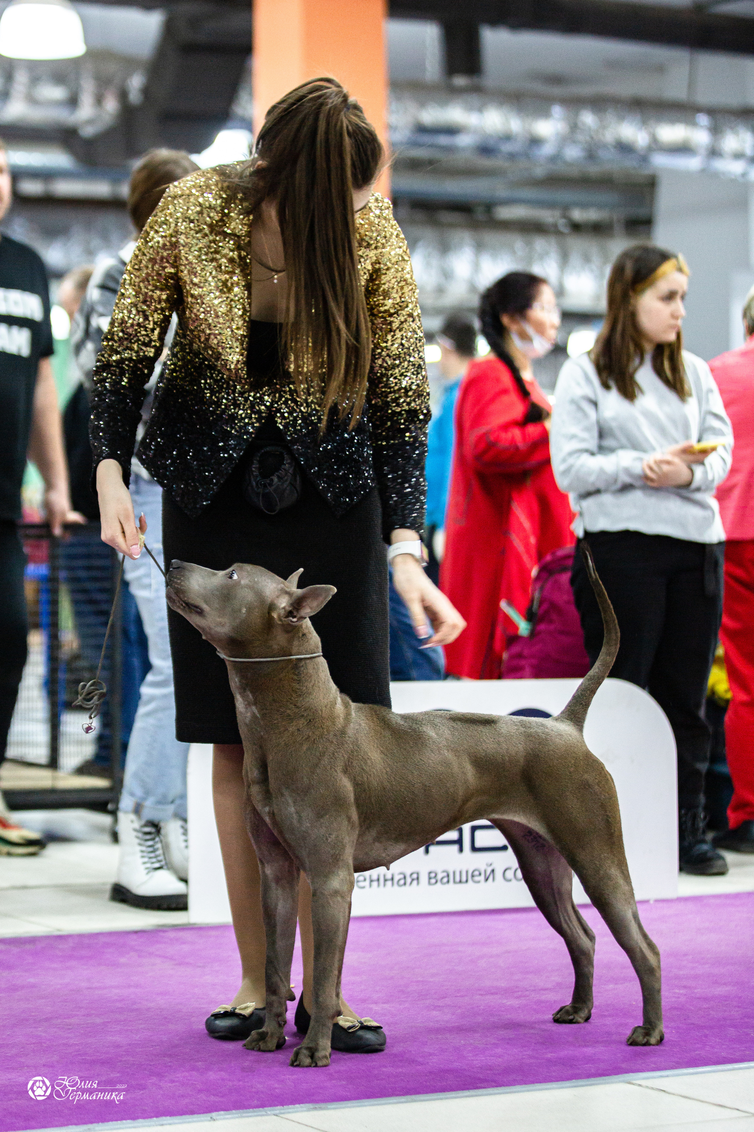 Чайна-Таун 29-30 января 2022. Фотограф-анималист Юлия Германика