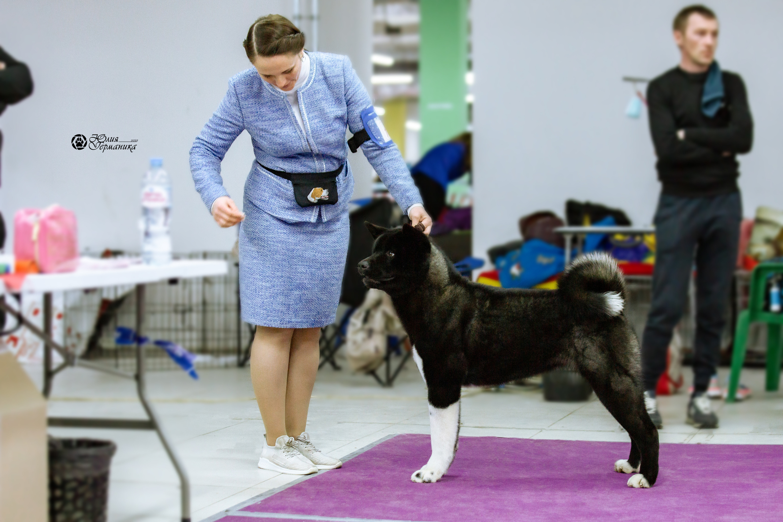 Чайна-Таун 13 и 20 марта 2022. Фотограф-анималист Юлия Германика