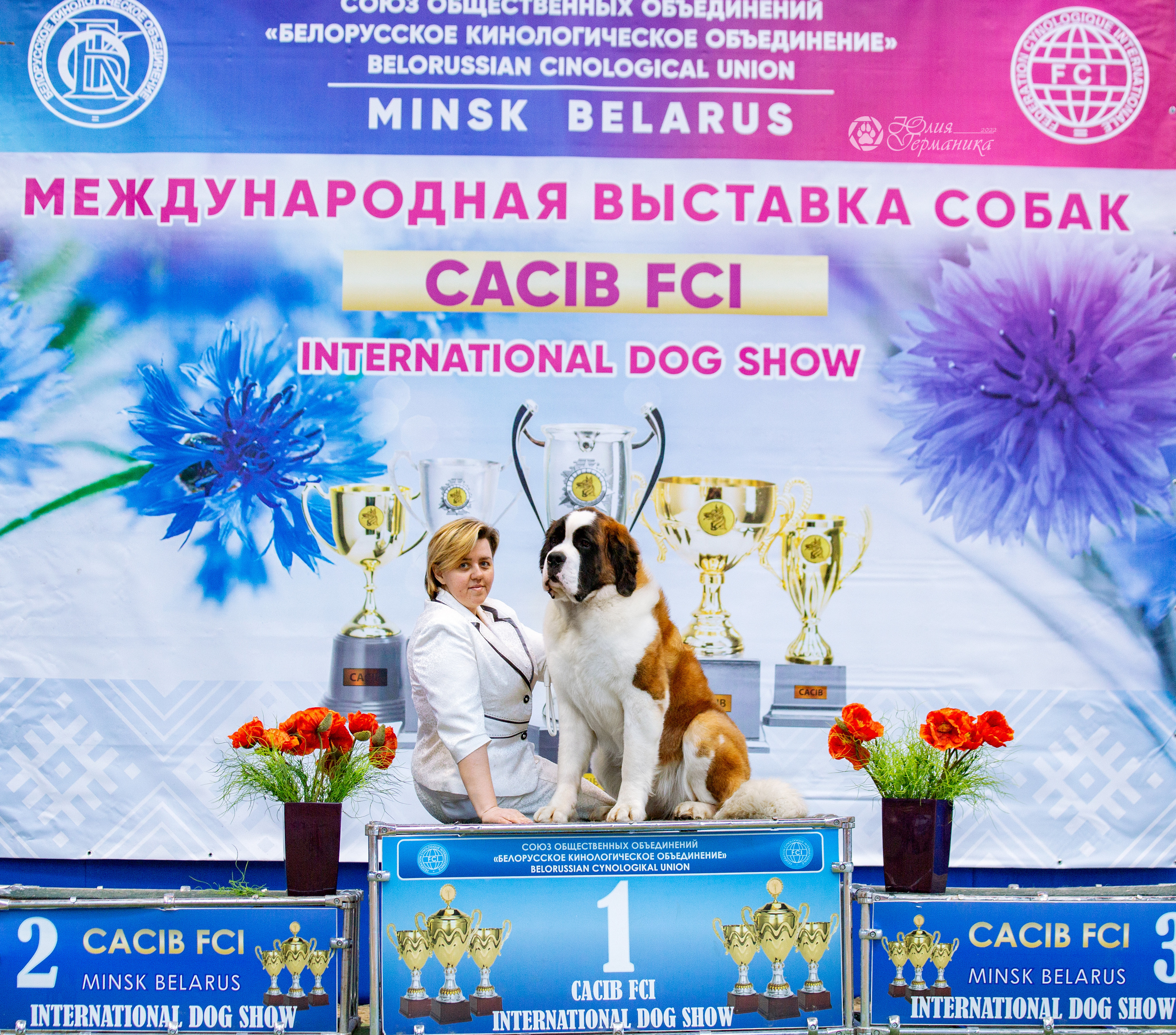 Минск 2хCACIB 5-6 марта 2022. Фотограф-анималист Юлия Германика