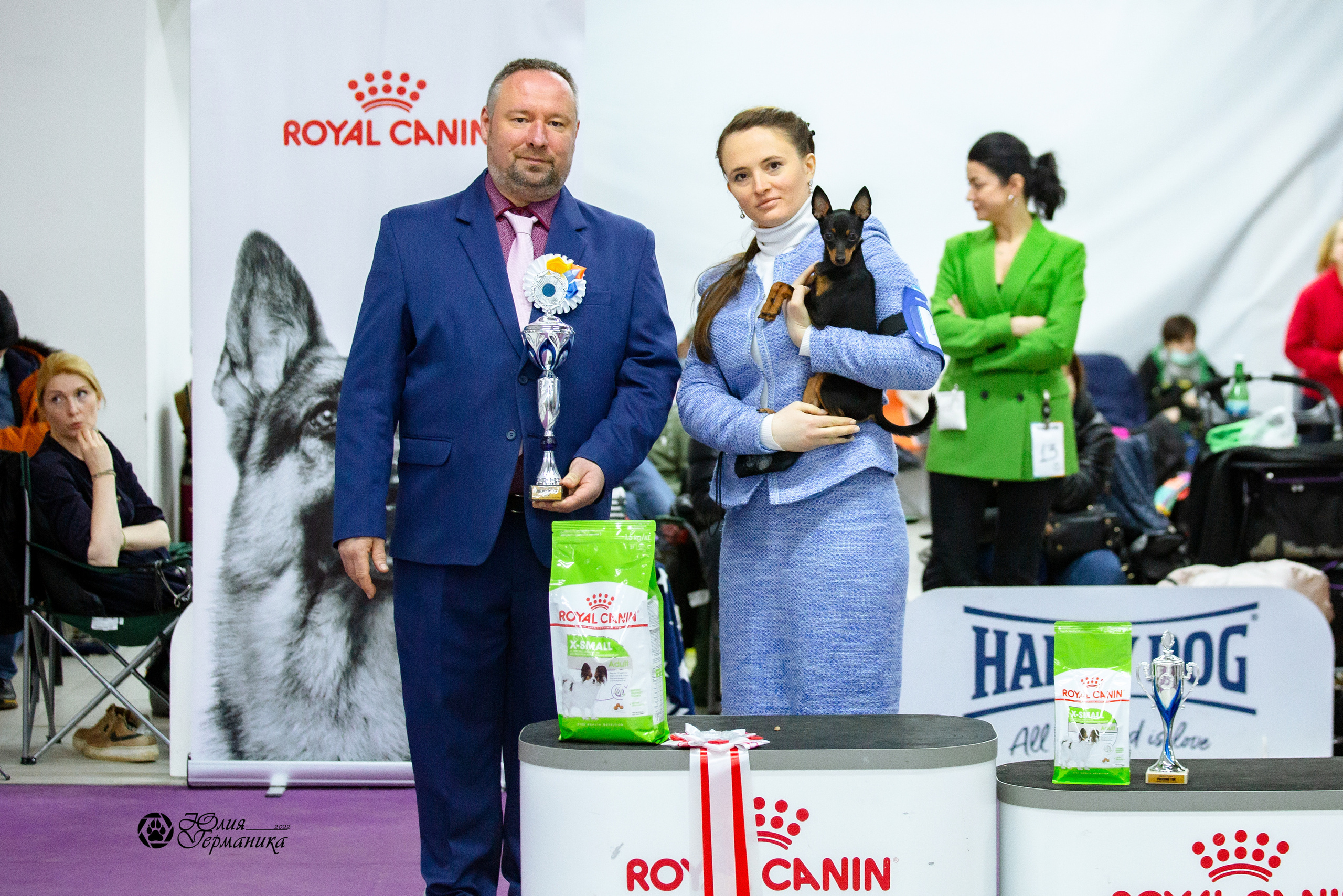 Чайна-Таун 27 февраля 2022. Фотограф-анималист Юлия Германика