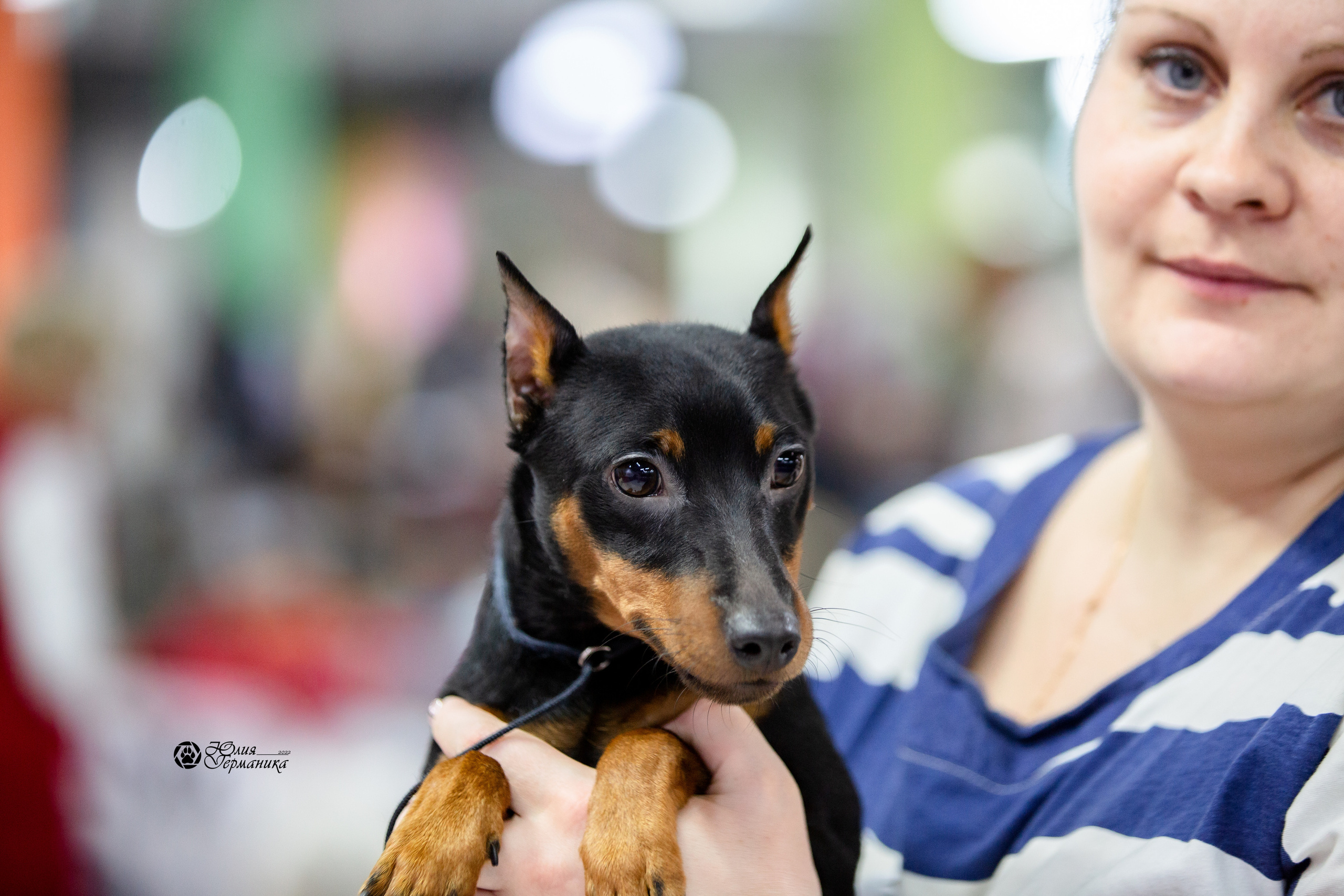 Чайна-Таун 12-13 февраля 2022. Фотограф-анималист Юлия Германика