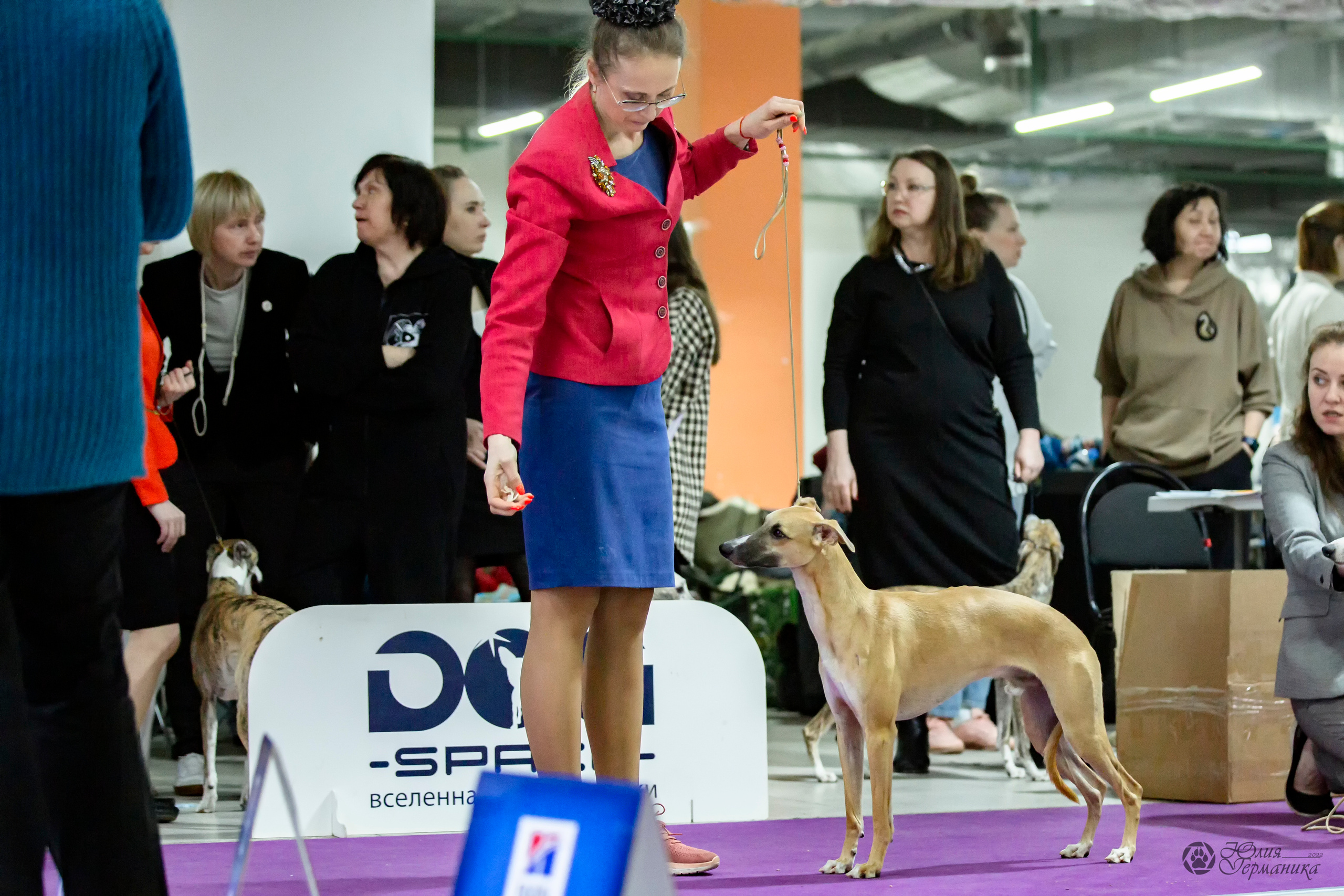 Чайна-Таун 24 и 27 марта 2022. Фотограф-анималист Юлия Германика