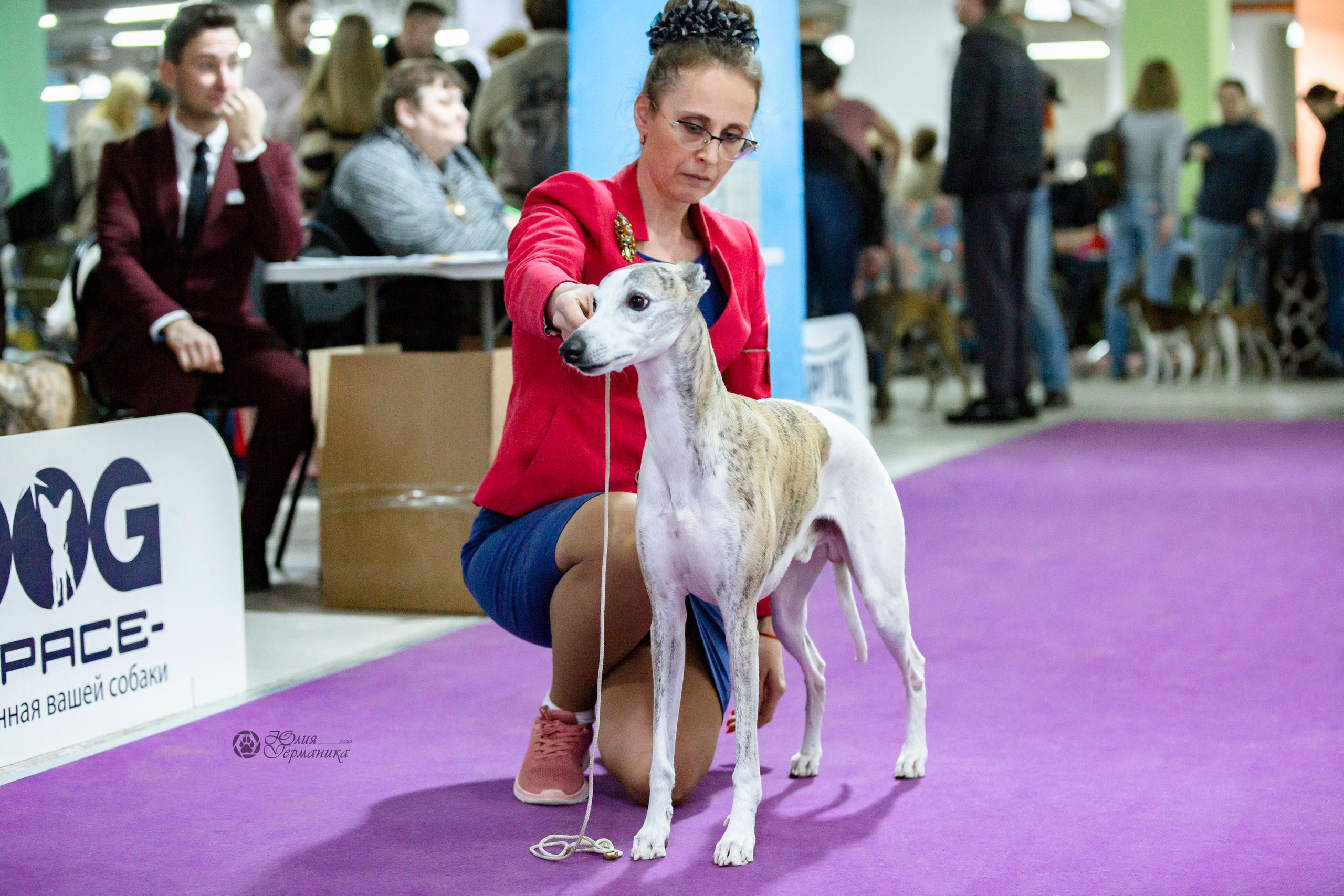 Чайна-Таун 24 и 27 марта 2022. Фотограф-анималист Юлия Германика