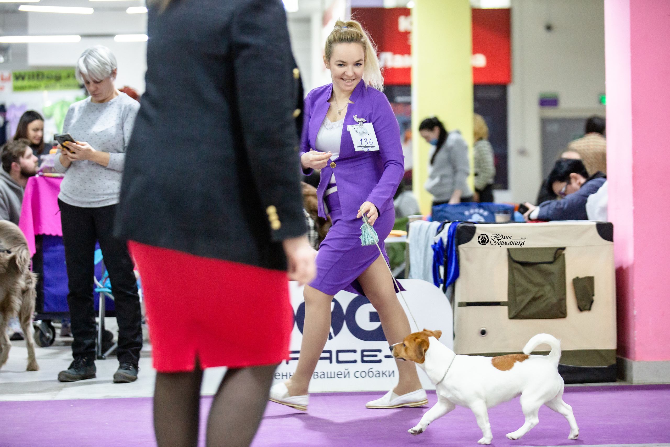 Чайна-Таун 12-13 февраля 2022. Фотограф-анималист Юлия Германика