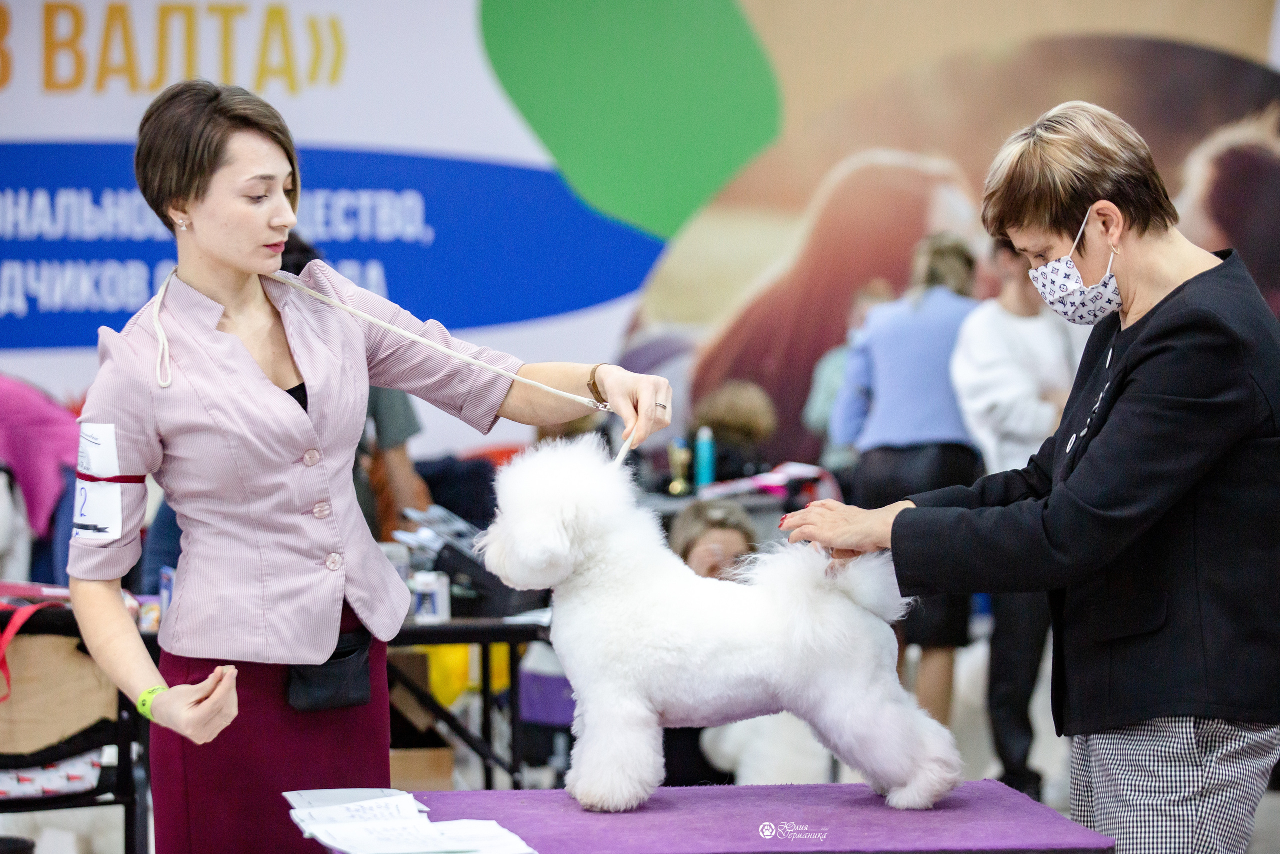 Чайна-Таун 12-13 февраля 2022. Фотограф-анималист Юлия Германика