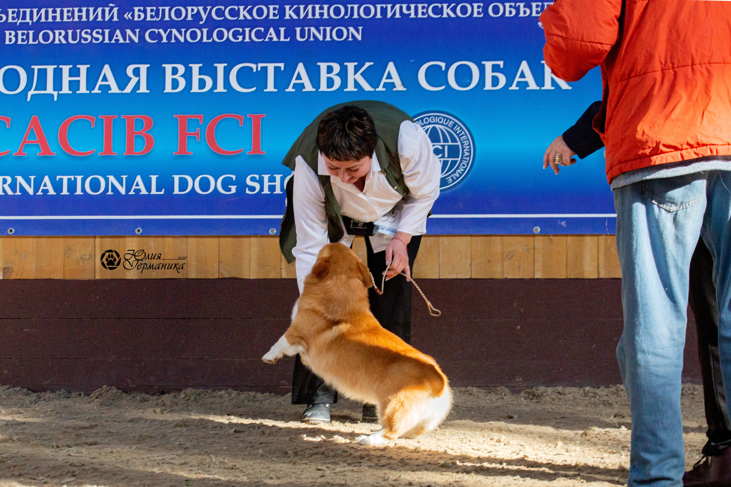 Минск 2хCACIB 5-6 марта 2022. Фотограф-анималист Юлия Германика