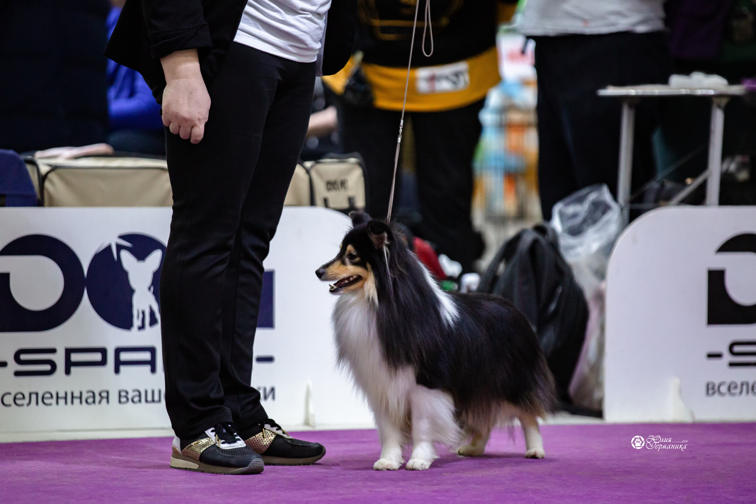 Чайна-Таун 12-13 февраля 2022. Фотограф-анималист Юлия Германика