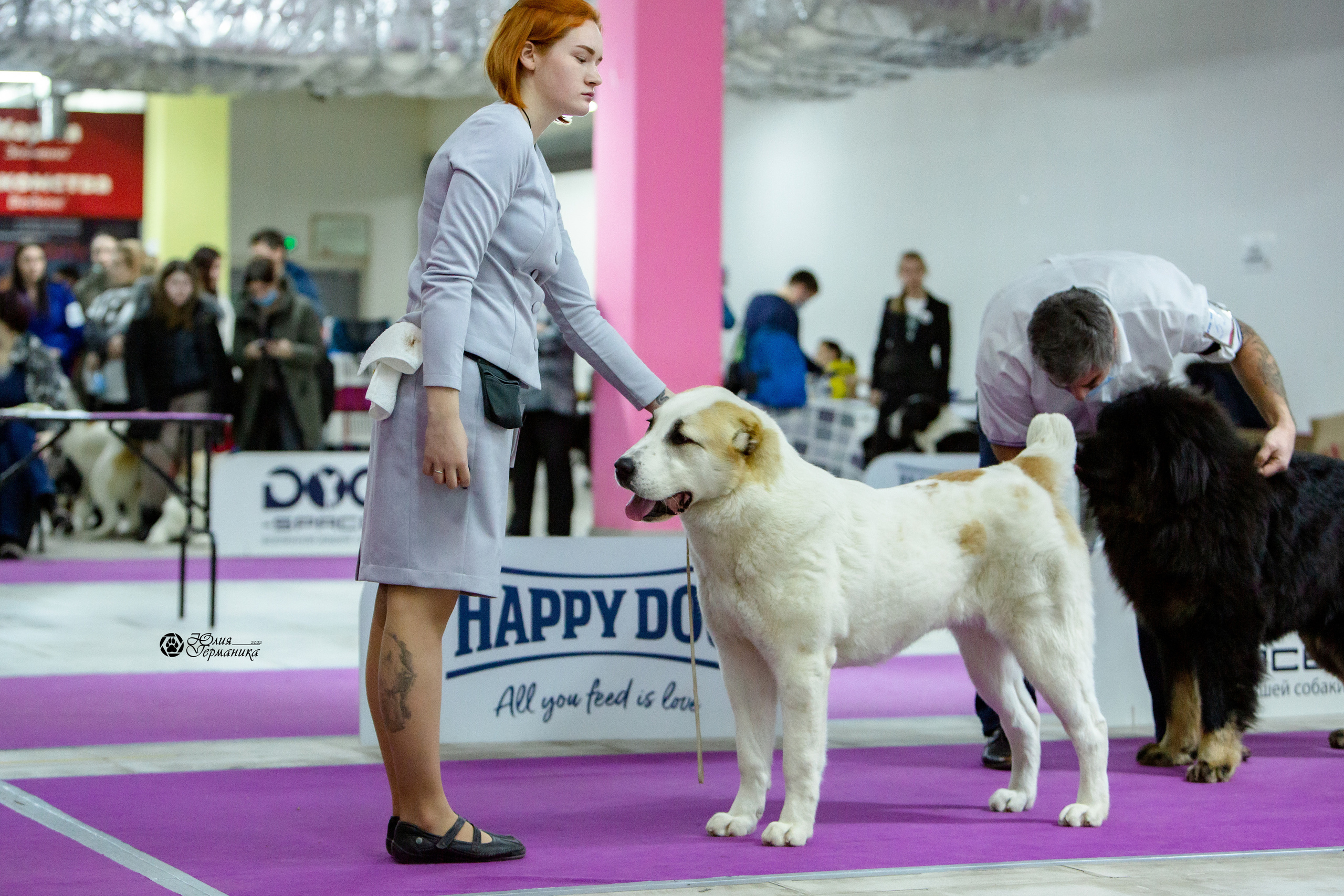 Чайна-Таун 8 января 2022. Фотограф-анималист Юлия Германика