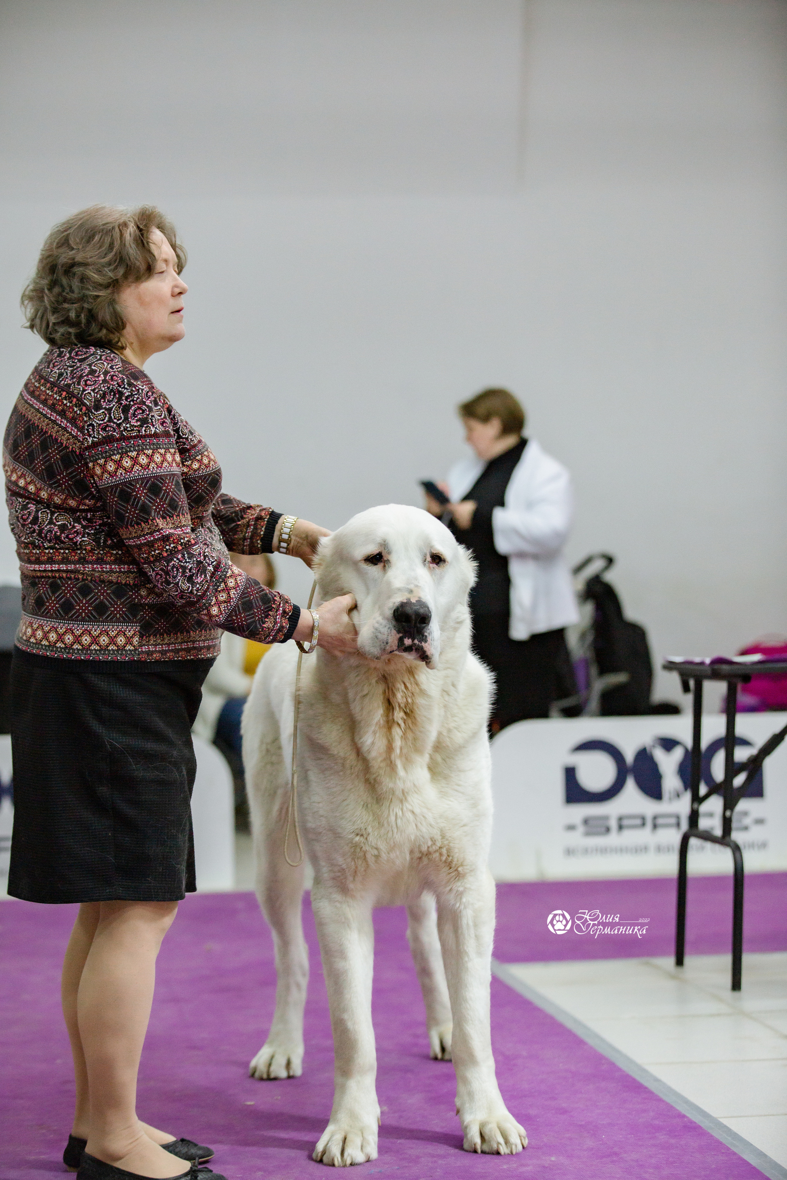 Чайна-Таун 13 и 20 марта 2022. Фотограф-анималист Юлия Германика