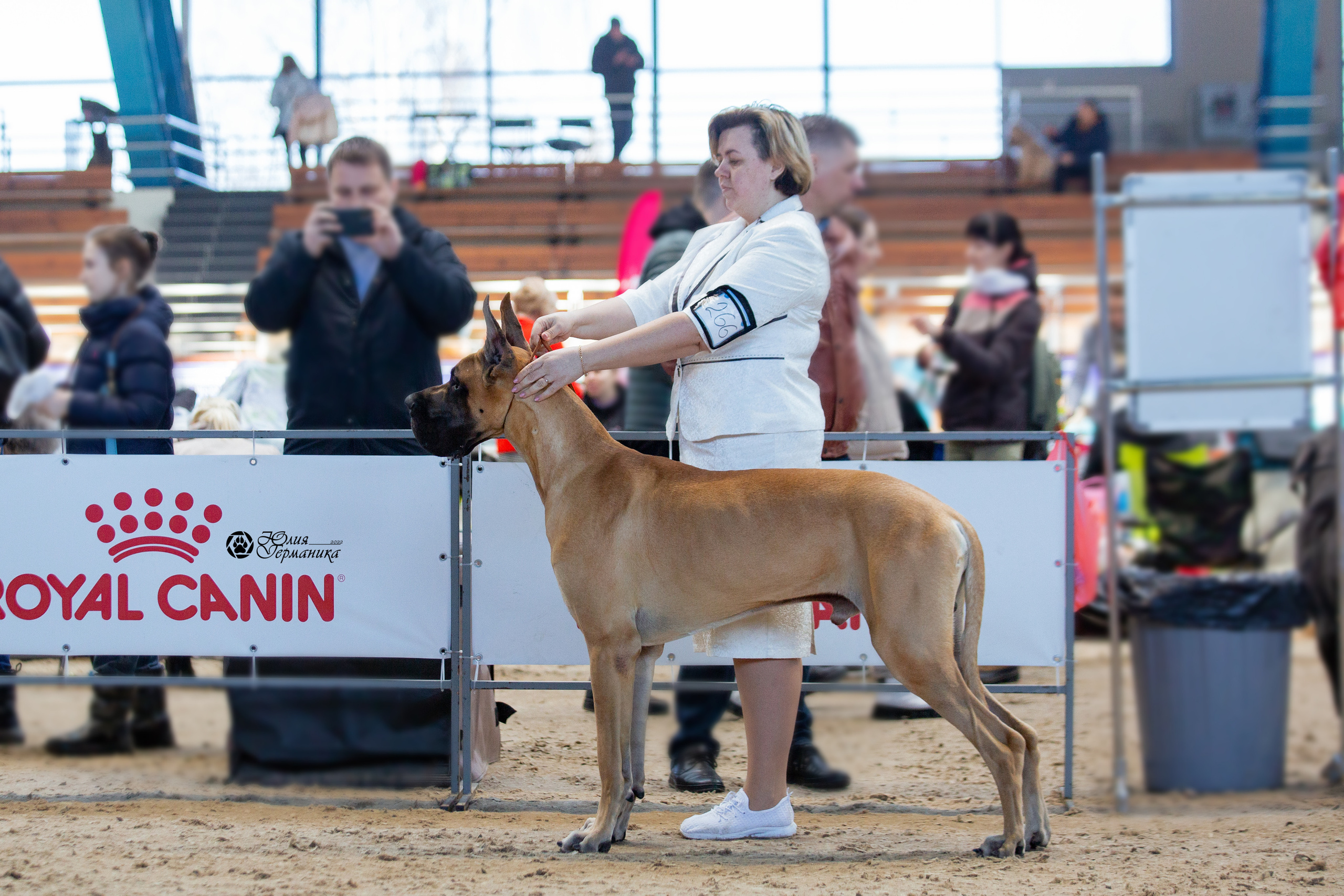 Минск 2хCACIB 5-6 марта 2022. Фотограф-анималист Юлия Германика