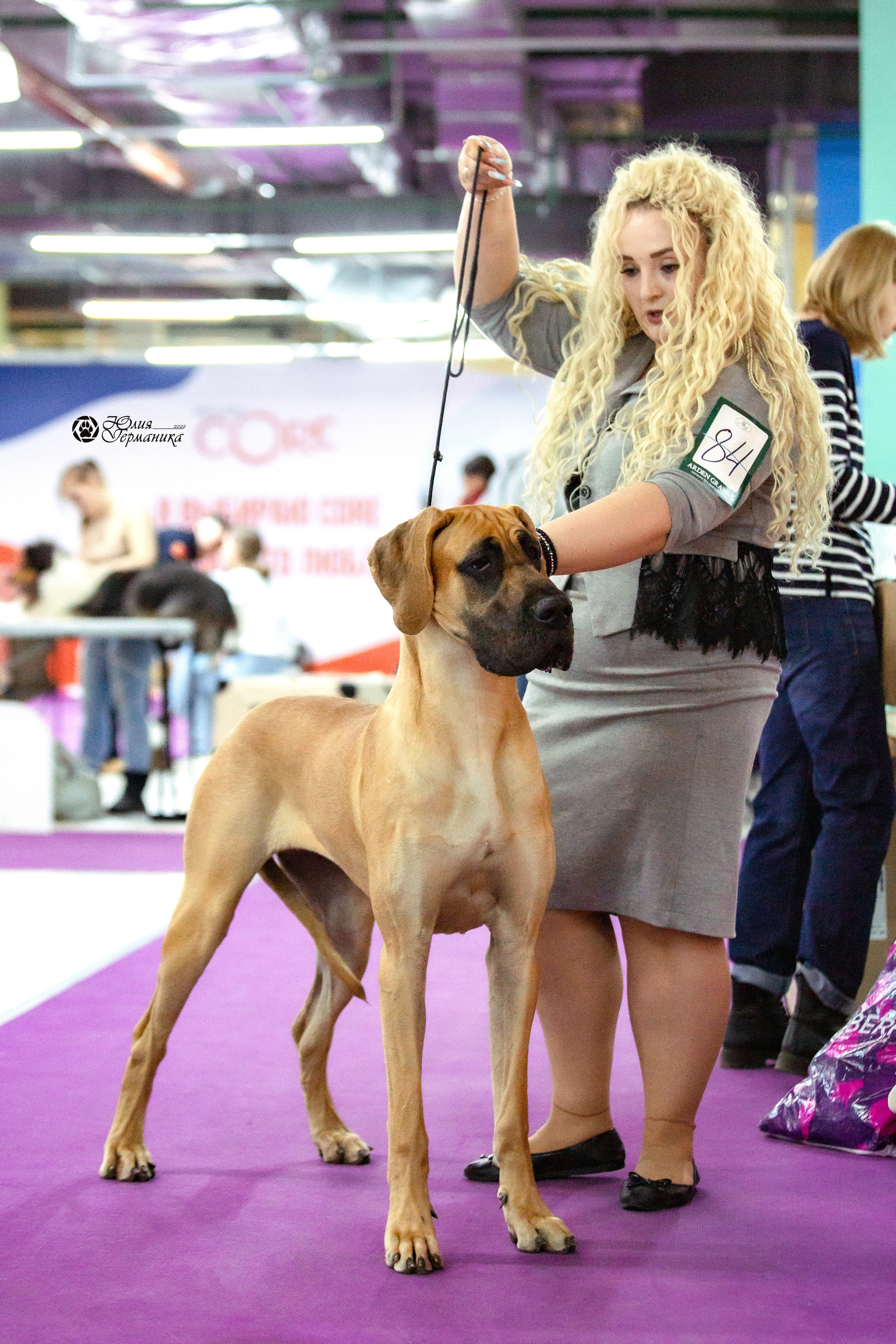 Чайна-Таун 23 февраля 2022. Фотограф-анималист Юлия Германика