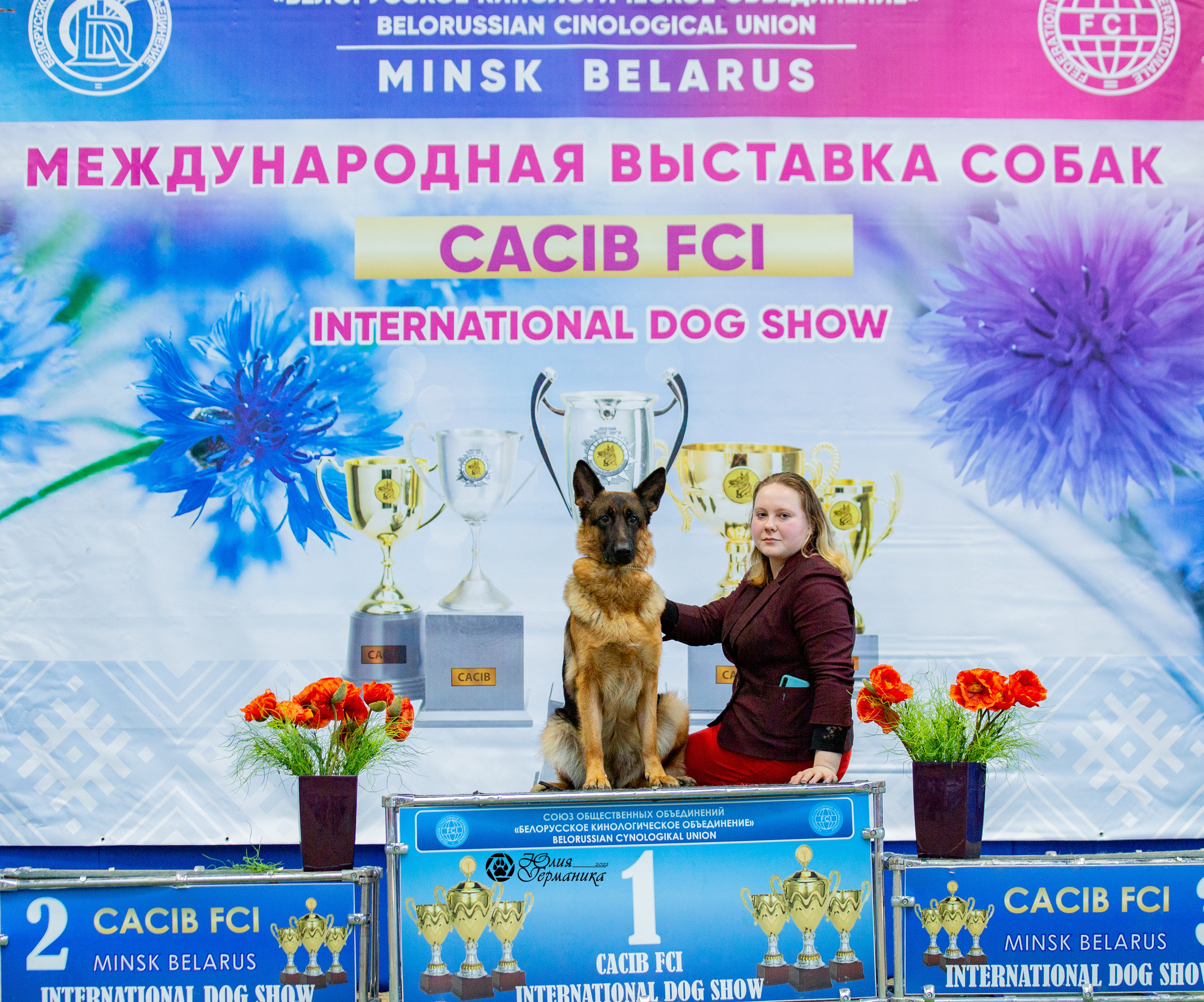 Минск 2хCACIB 5-6 марта 2022. Фотограф-анималист Юлия Германика