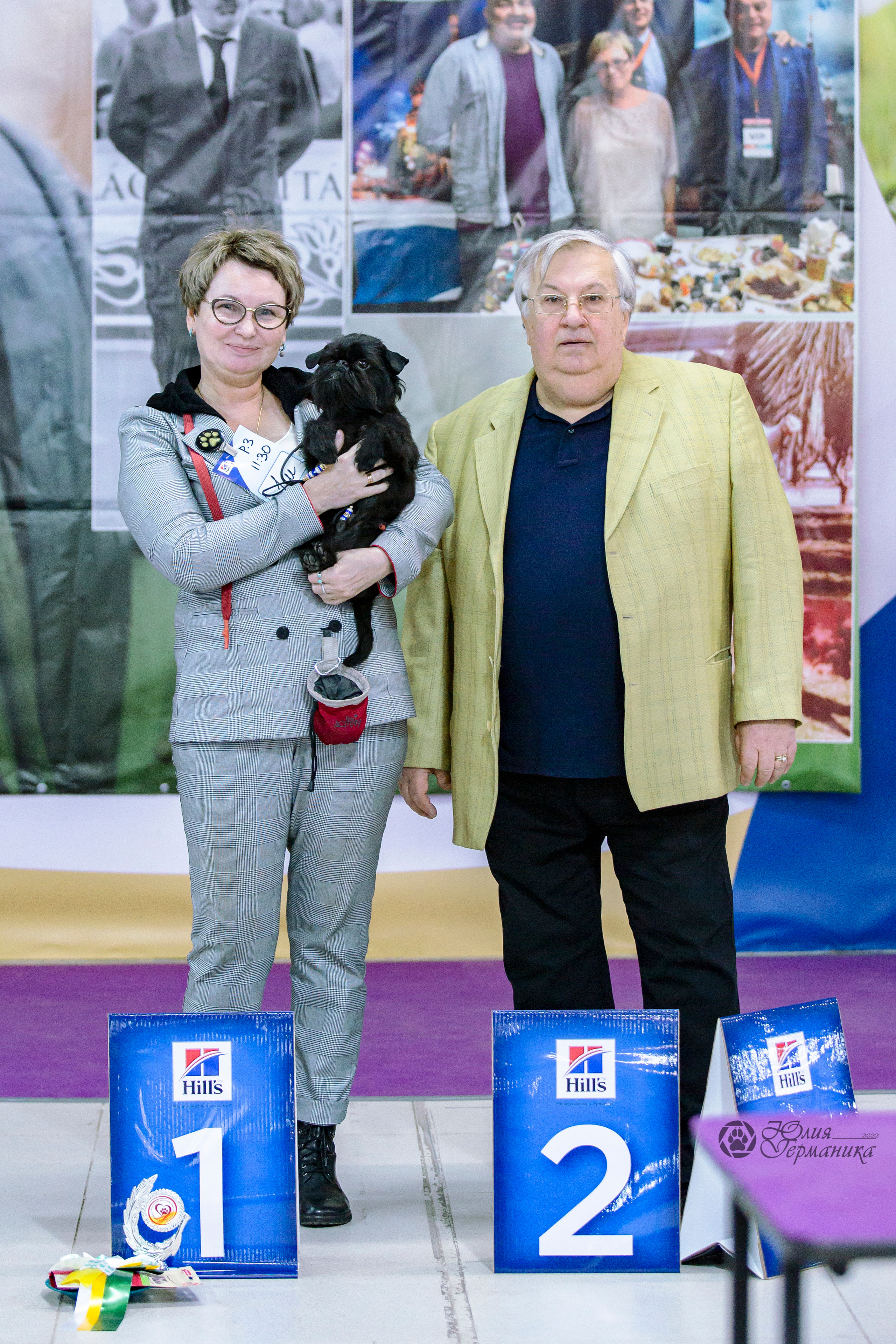 Чайна-Таун 24 и 27 марта 2022. Фотограф-анималист Юлия Германика