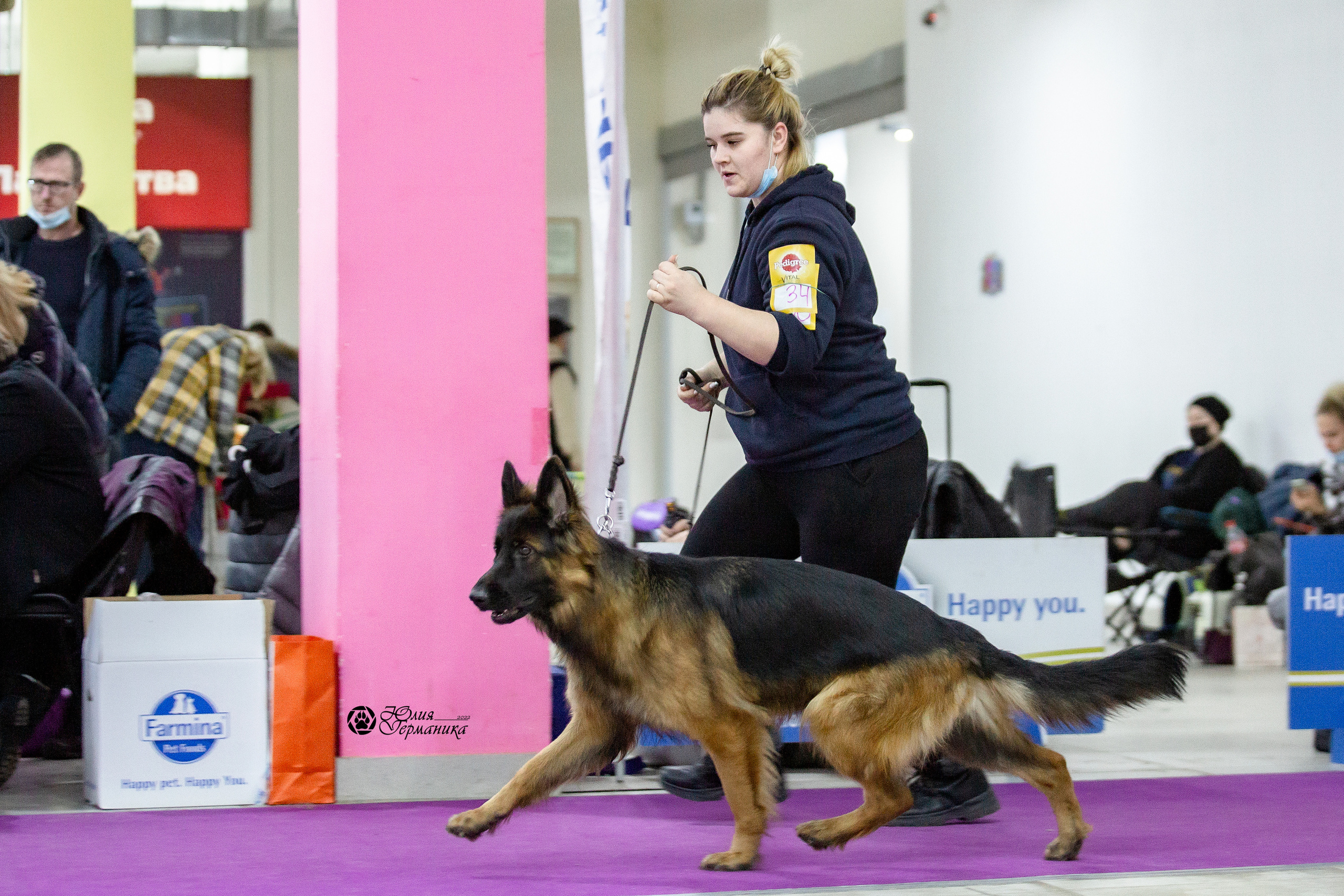 Чайна-Таун 29-30 января 2022. Фотограф-анималист Юлия Германика
