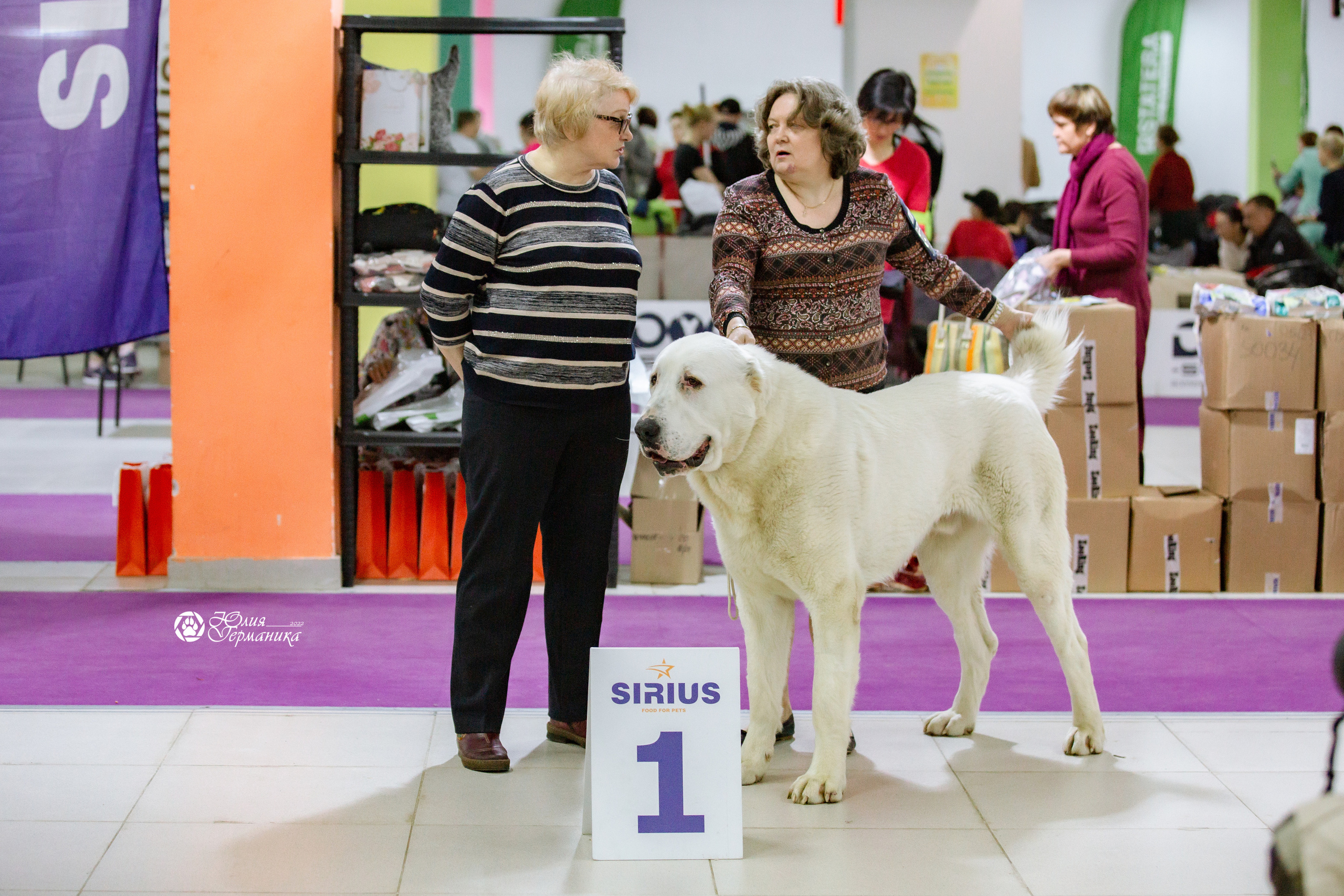 Чайна-Таун 13 и 20 марта 2022. Фотограф-анималист Юлия Германика