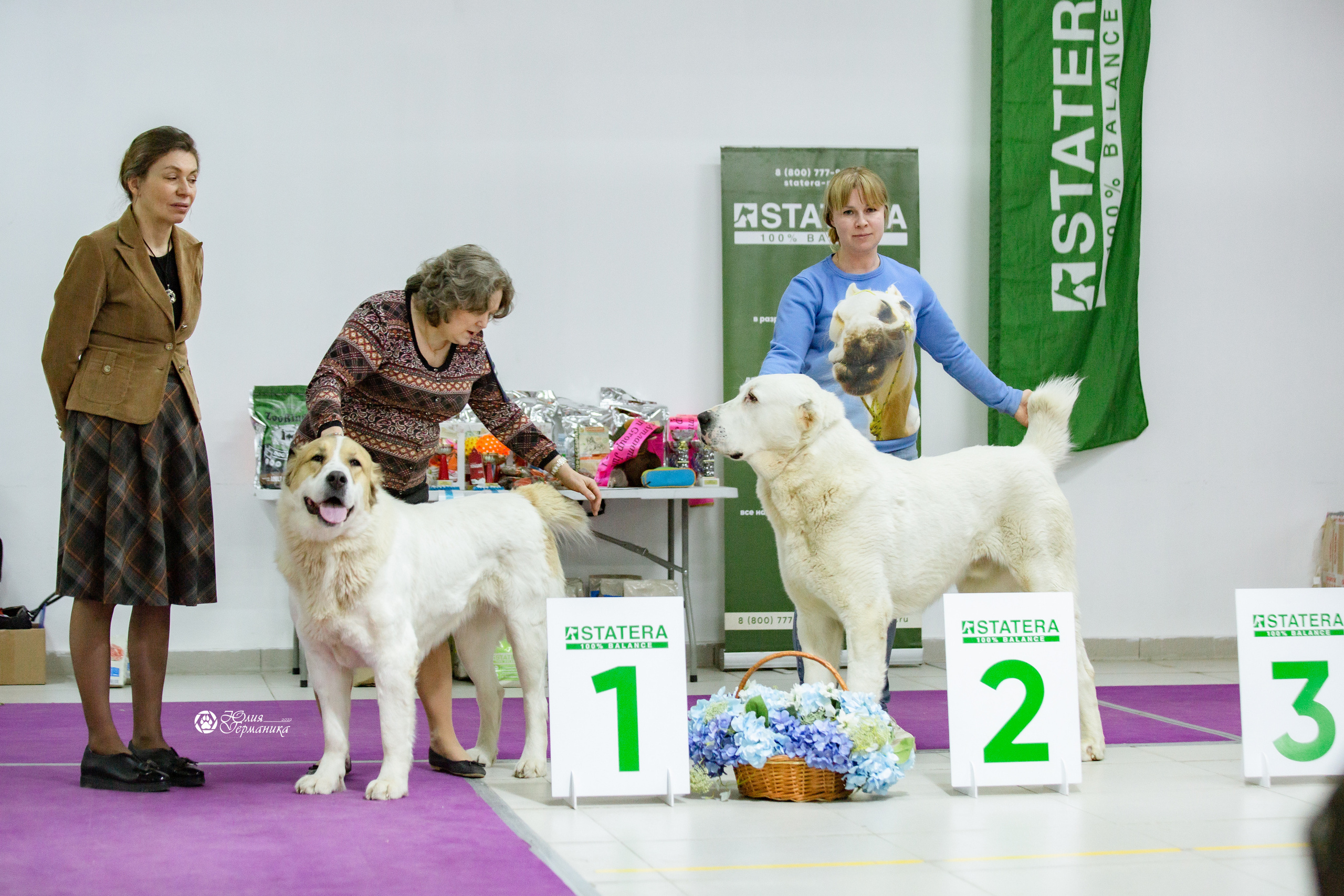 Чайна-Таун 13 и 20 марта 2022. Фотограф-анималист Юлия Германика