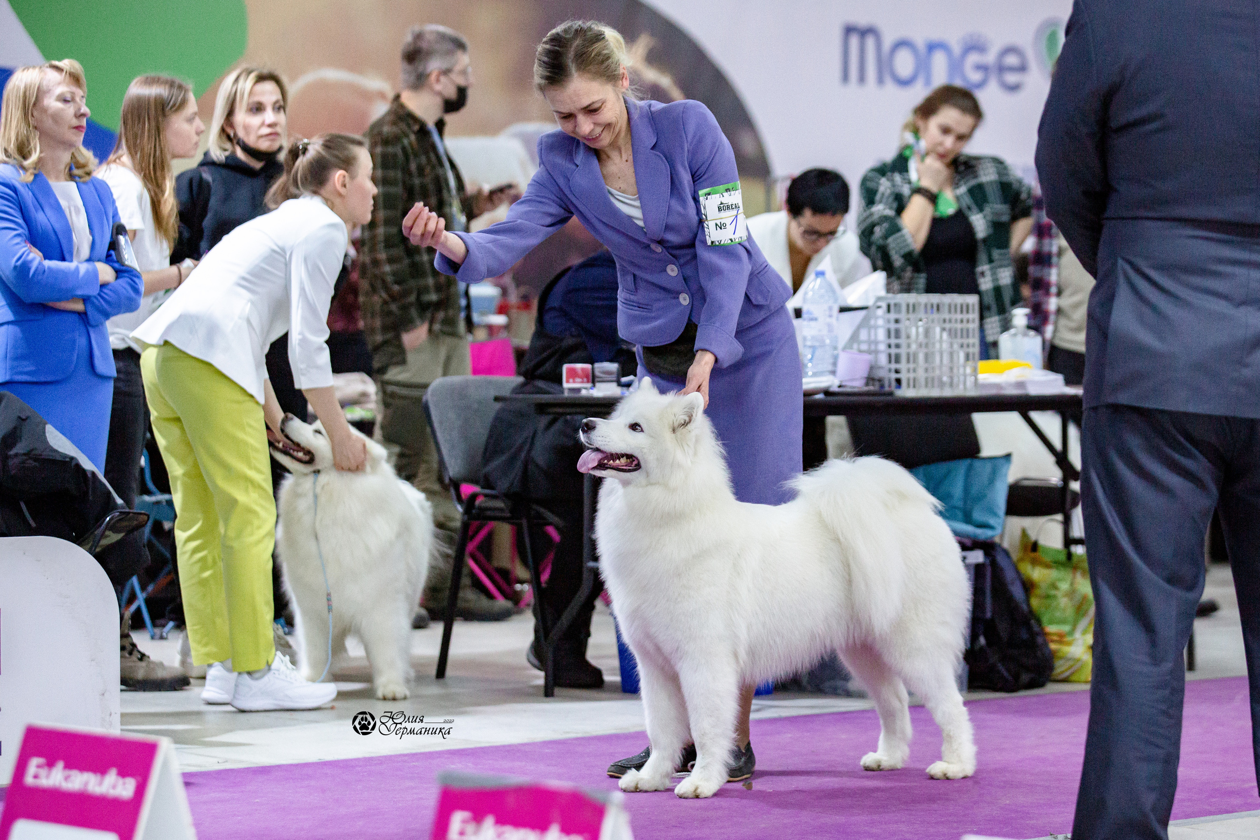 Чайна-Таун 12-13 февраля 2022. Фотограф-анималист Юлия Германика