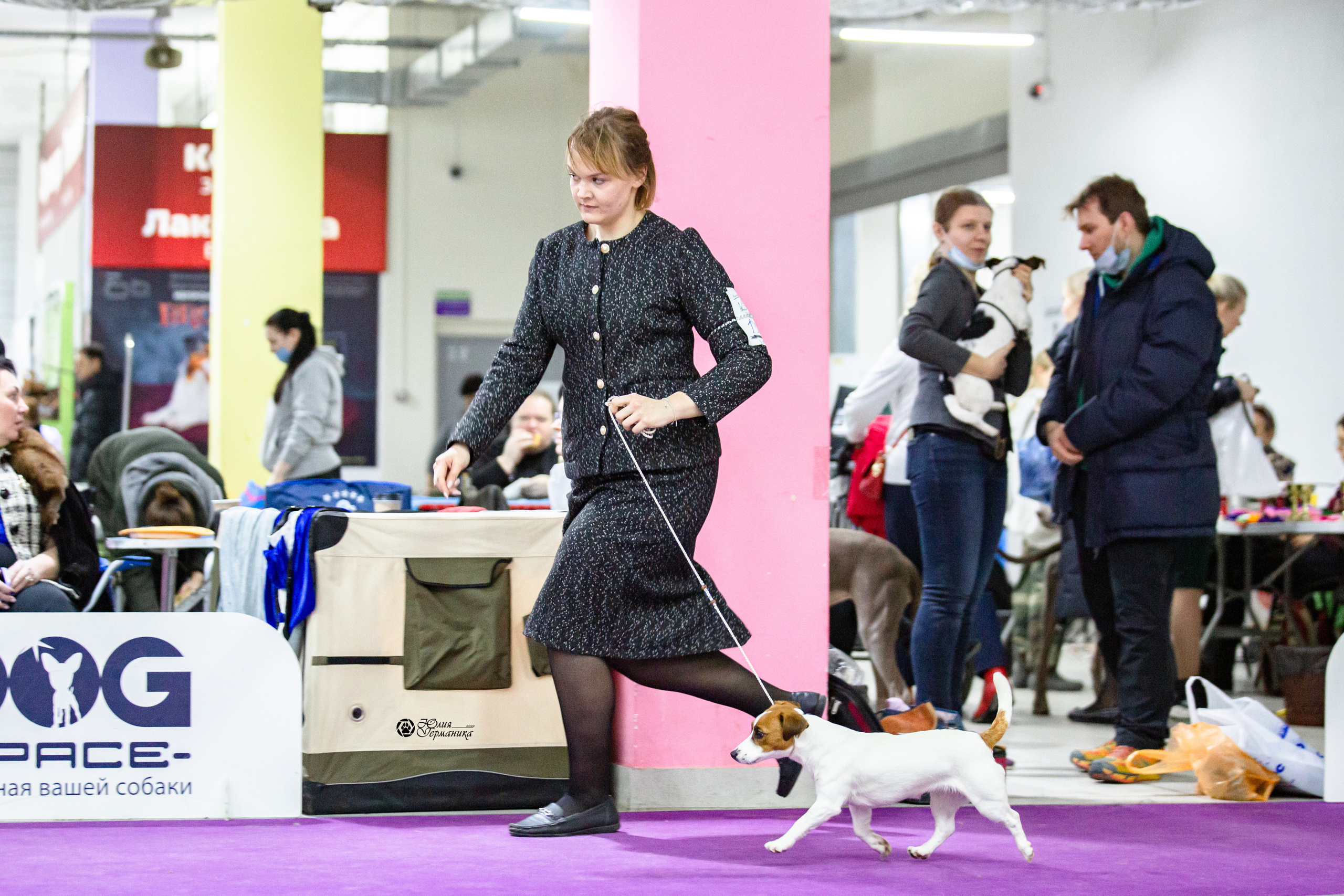 Чайна-Таун 12-13 февраля 2022. Фотограф-анималист Юлия Германика