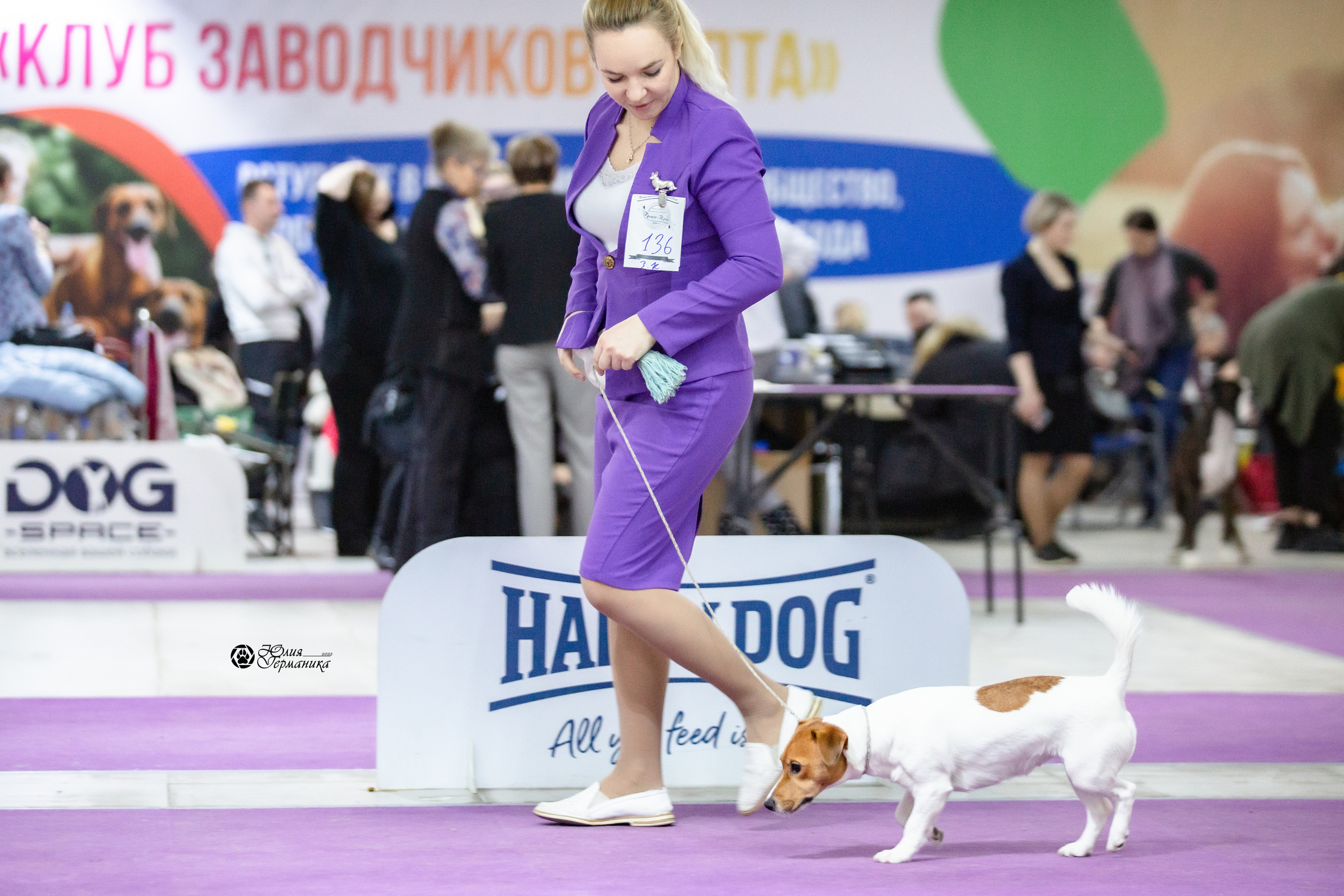 Чайна-Таун 12-13 февраля 2022. Фотограф-анималист Юлия Германика