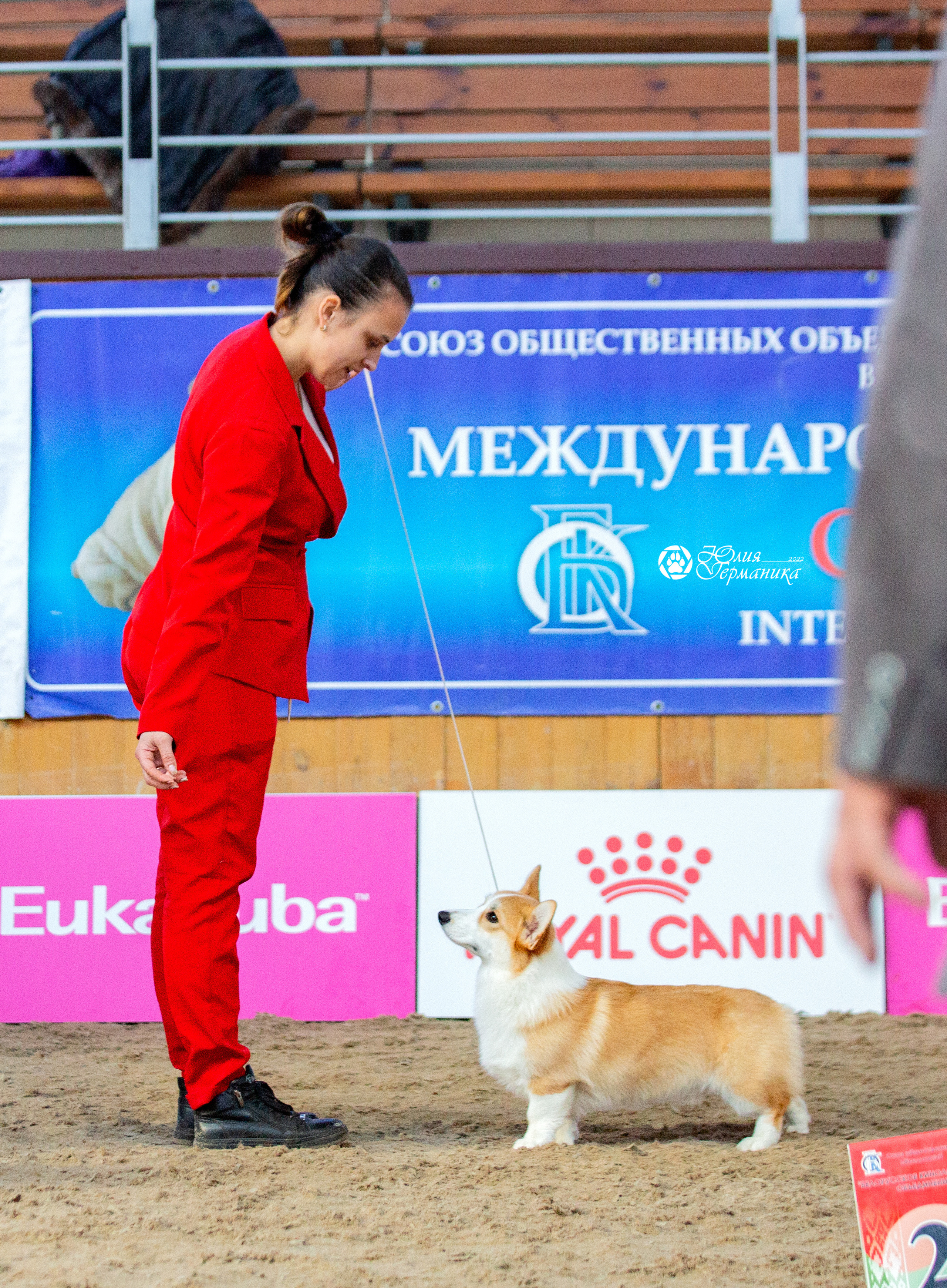 Минск 2хCACIB 5-6 марта 2022. Фотограф-анималист Юлия Германика