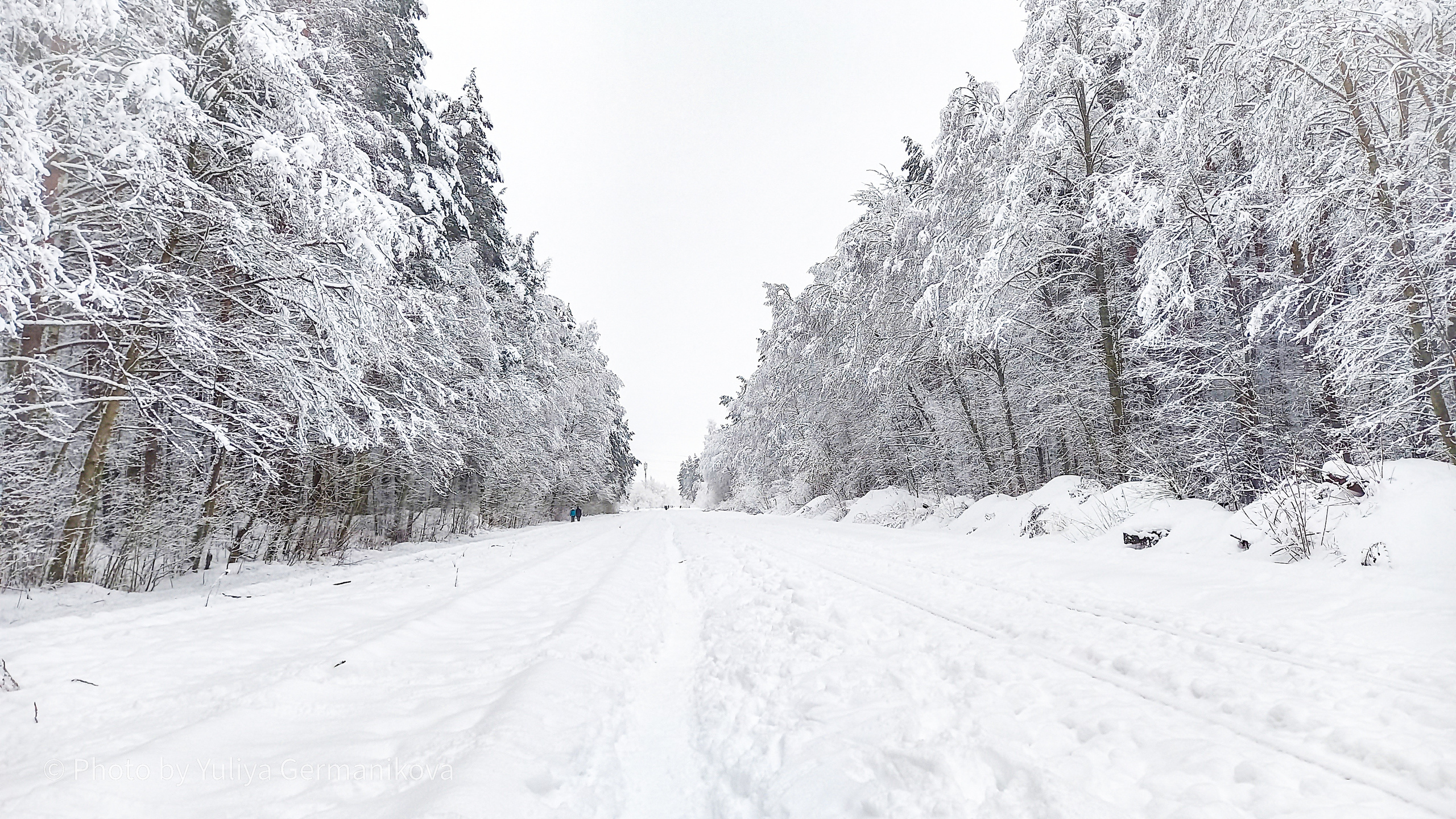 Разные фото на телефон.Города,природа. Фотограф-анималист Юлия Германика