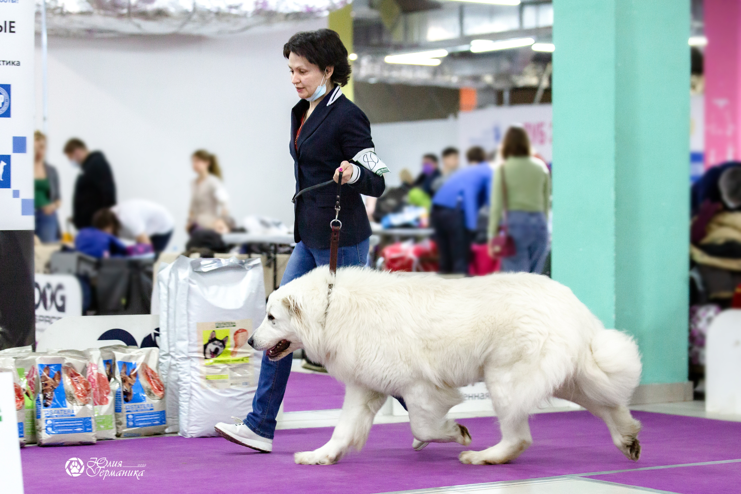 Чайна-Таун 23 февраля 2022. Фотограф-анималист Юлия Германика
