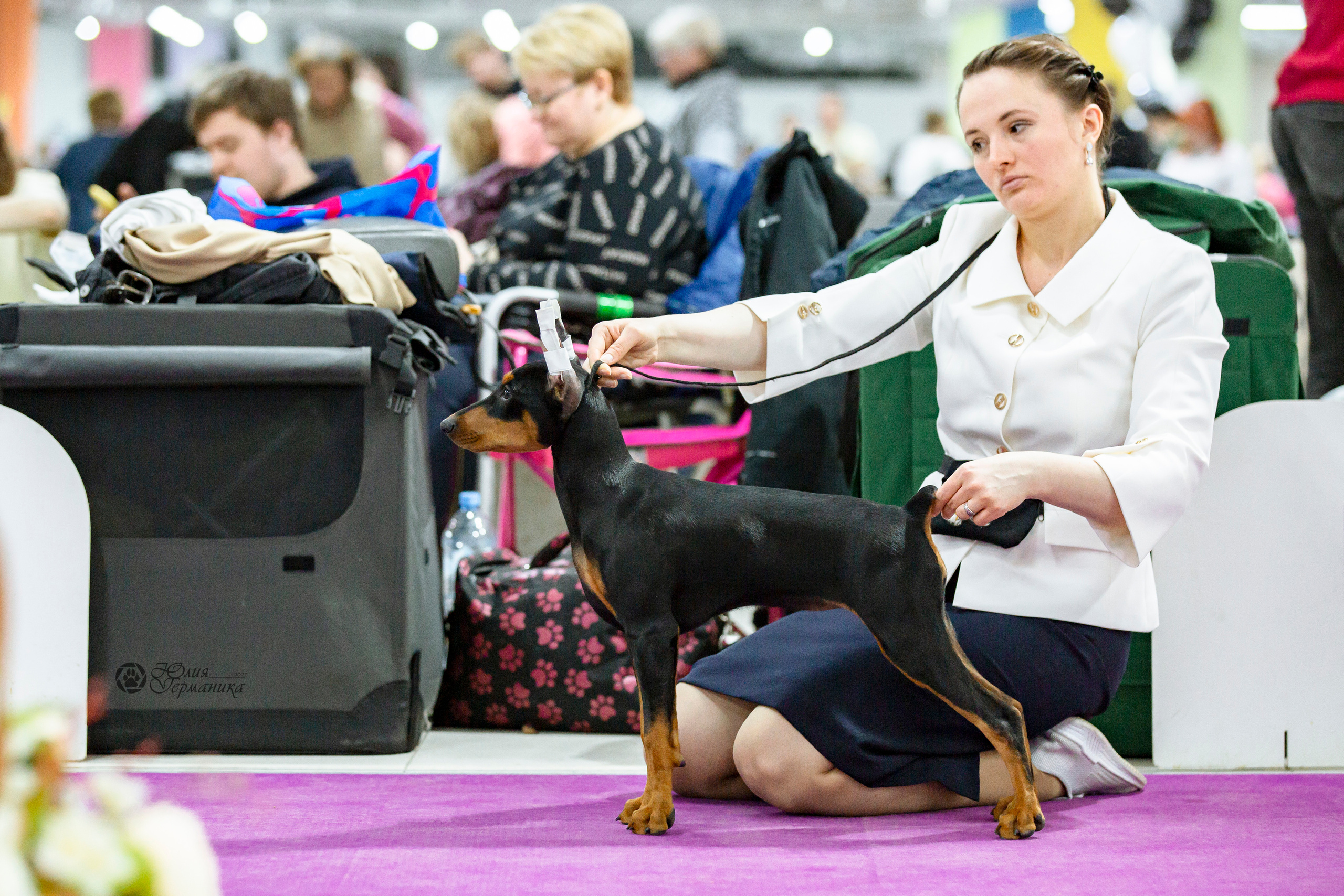 Чайна-Таун 24 и 27 марта 2022. Фотограф-анималист Юлия Германика