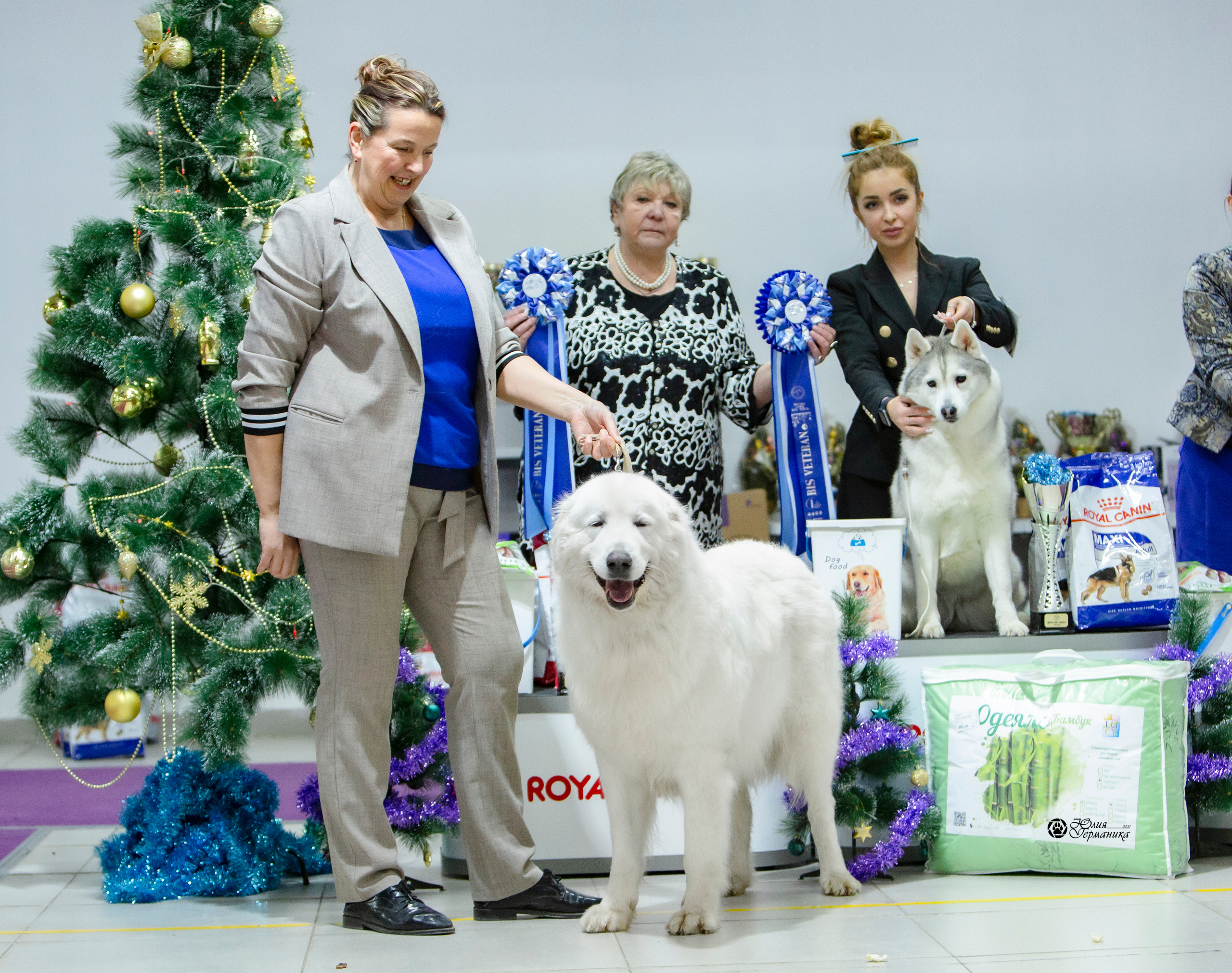 Чайна-Таун 18,26 и 29 декабря 2021. Фотограф-анималист Юлия Германика