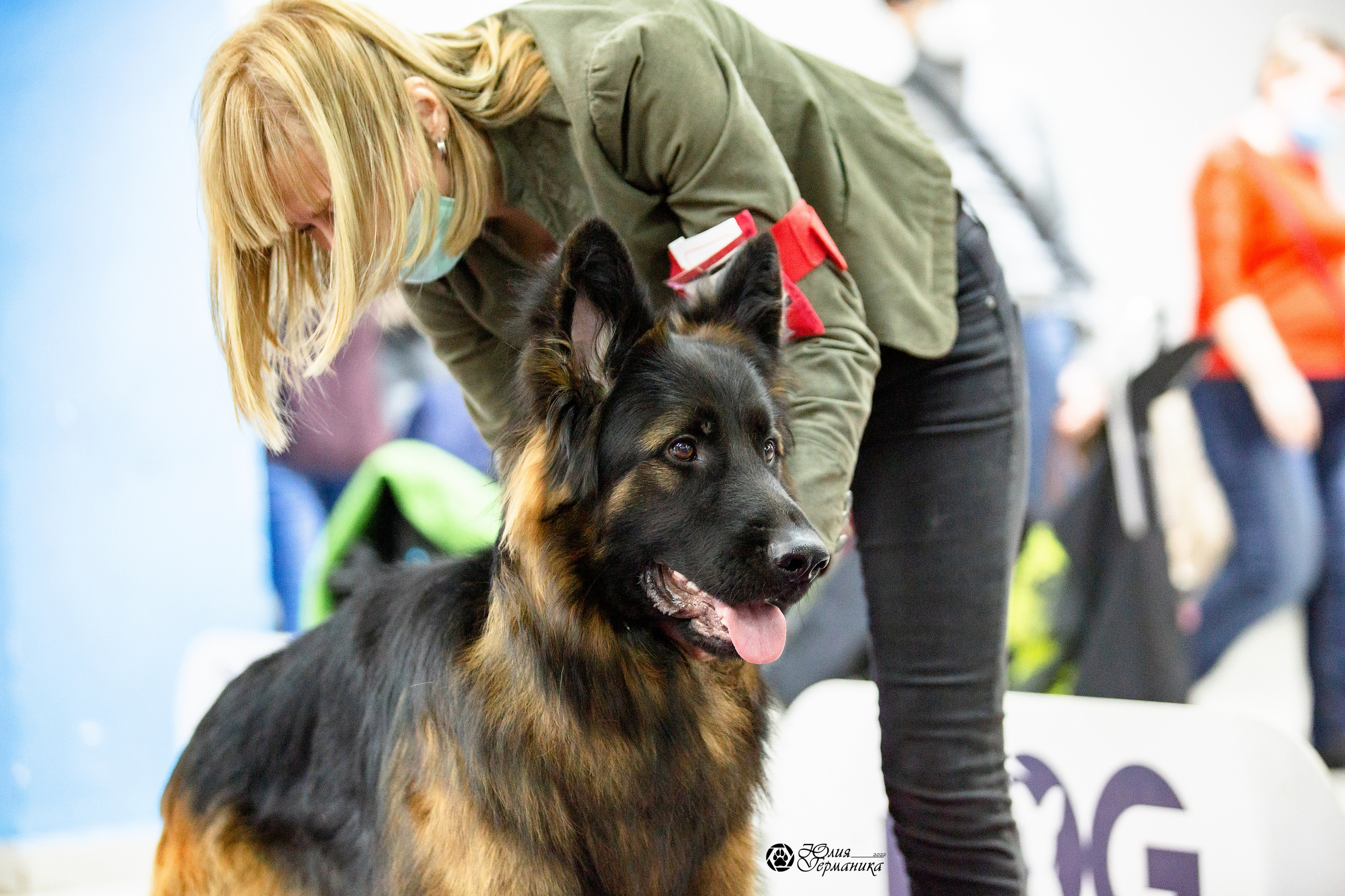 Чайна-Таун 29-30 января 2022. Фотограф-анималист Юлия Германика