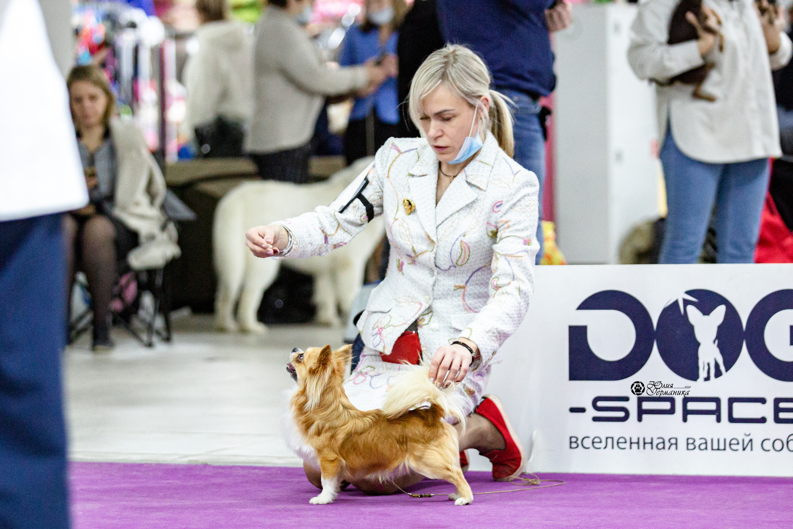 Чайна-Таун 29-30 января 2022. Фотограф-анималист Юлия Германика