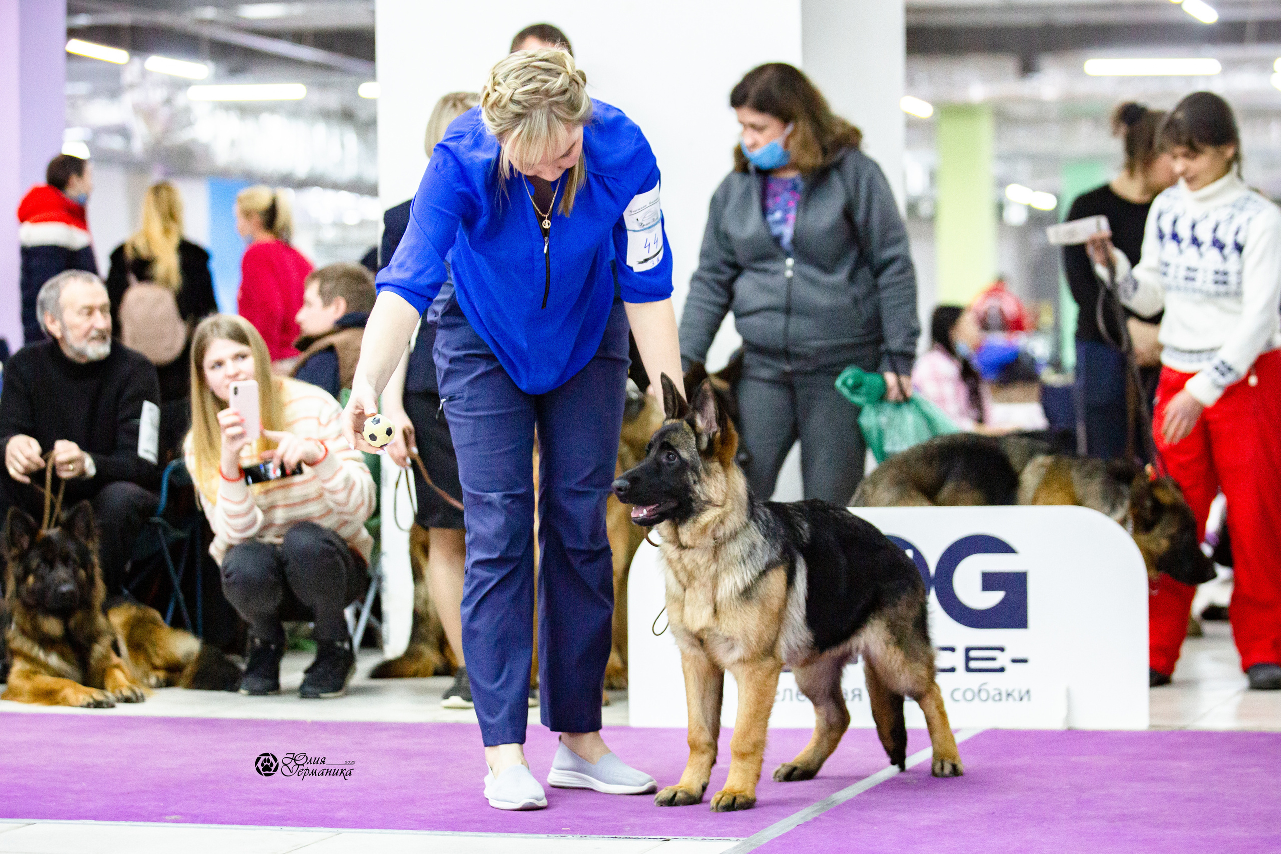 Чайна-Таун 12-13 февраля 2022. Фотограф-анималист Юлия Германика