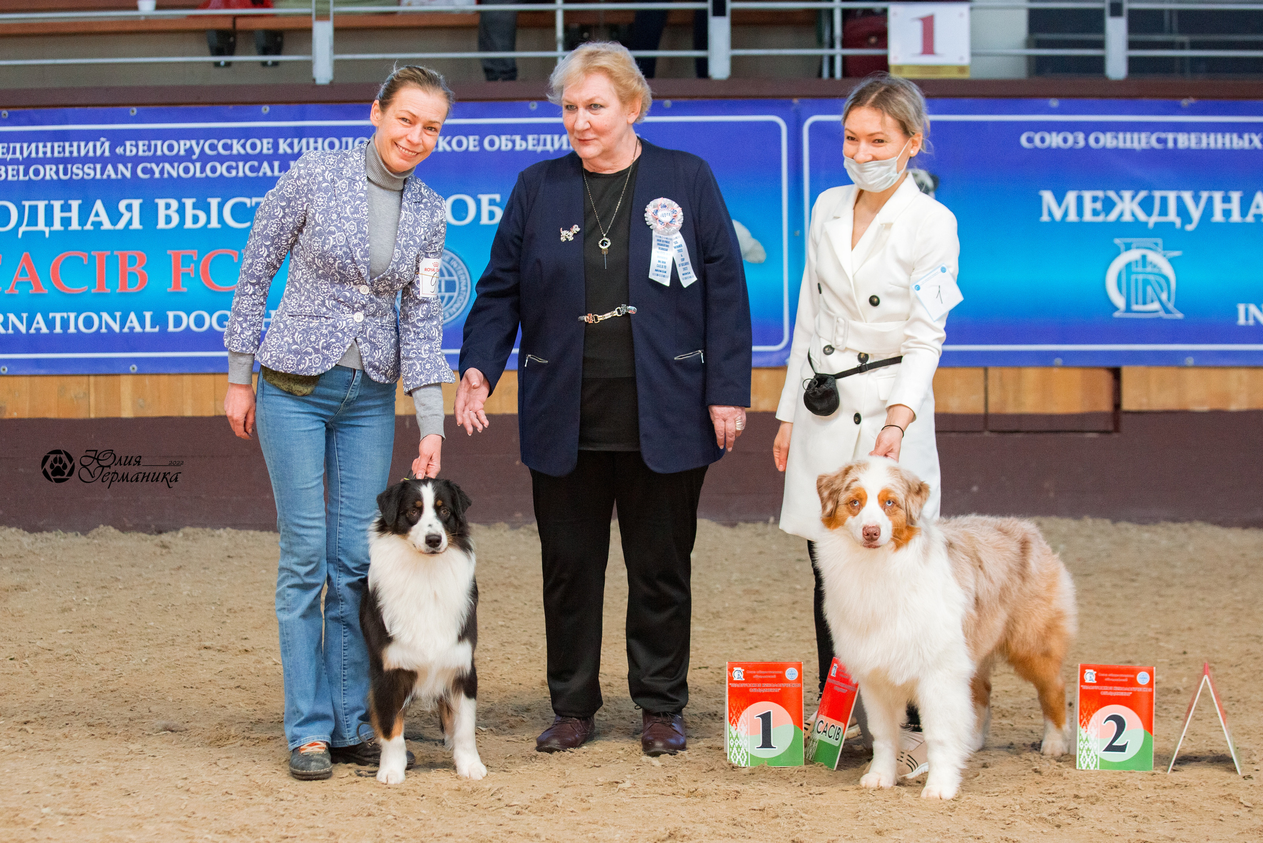 Минск 2хCACIB 5-6 марта 2022. Фотограф-анималист Юлия Германика