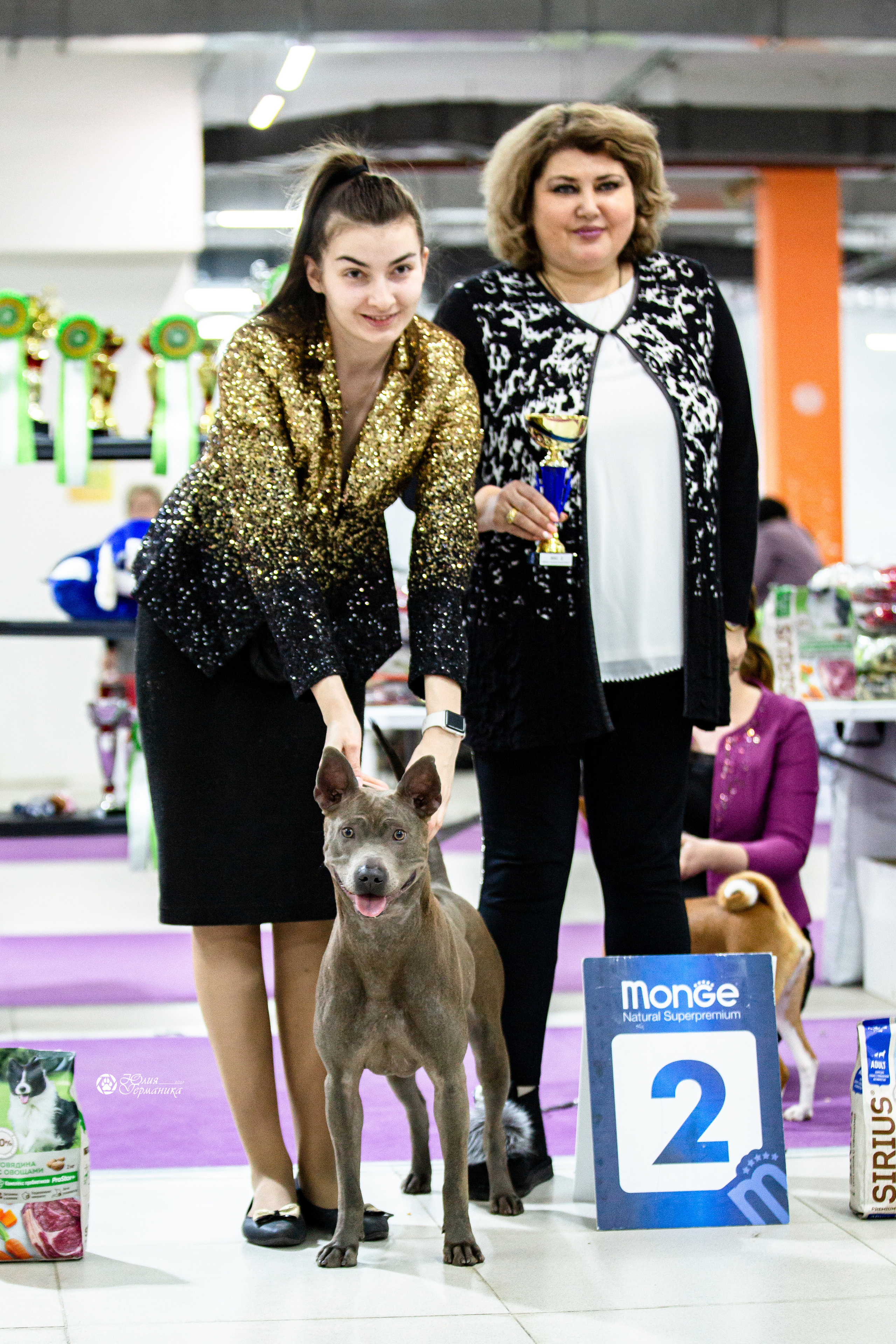 Чайна-Таун 29-30 января 2022. Фотограф-анималист Юлия Германика