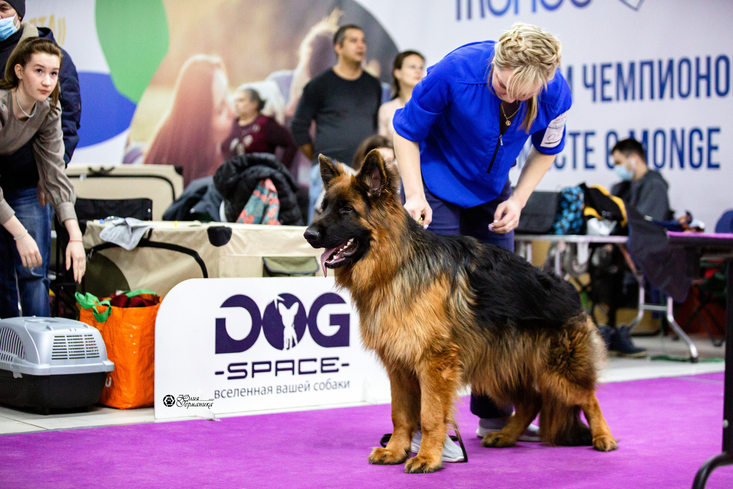 Чайна-Таун 12-13 февраля 2022. Фотограф-анималист Юлия Германика