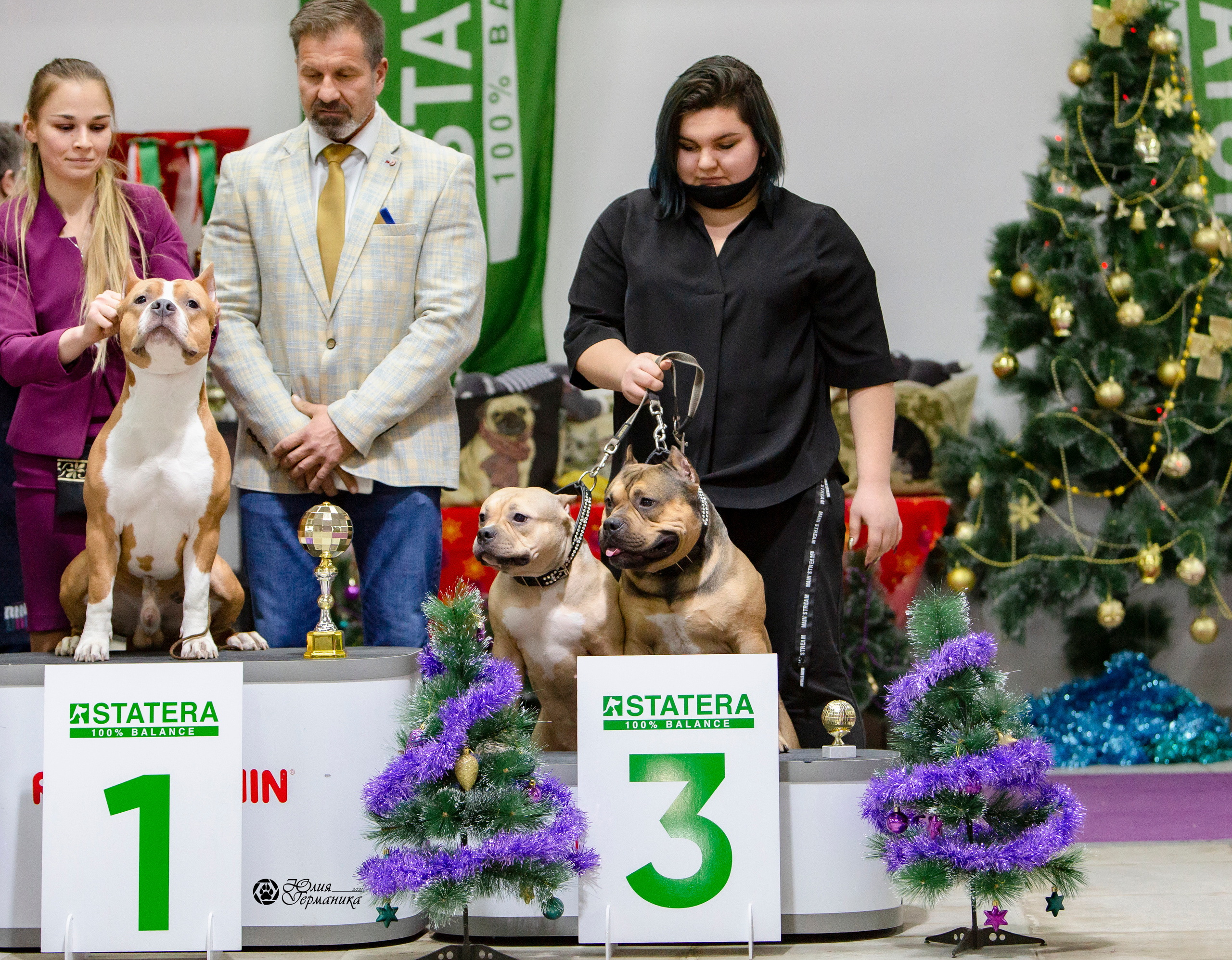 Чайна-Таун 18,26 и 29 декабря 2021. Фотограф-анималист Юлия Германика