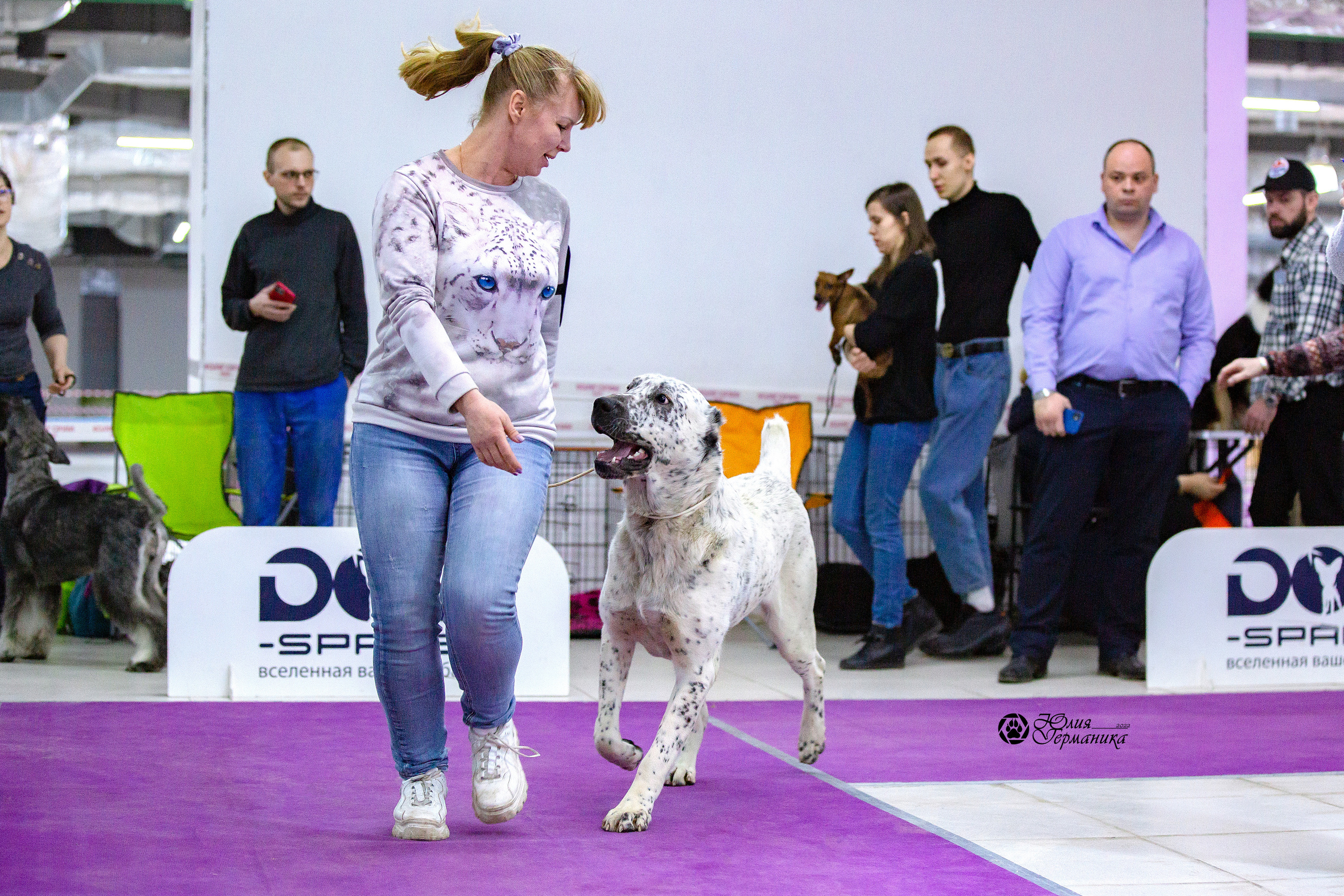 Чайна-Таун 24 и 27 марта 2022. Фотограф-анималист Юлия Германика