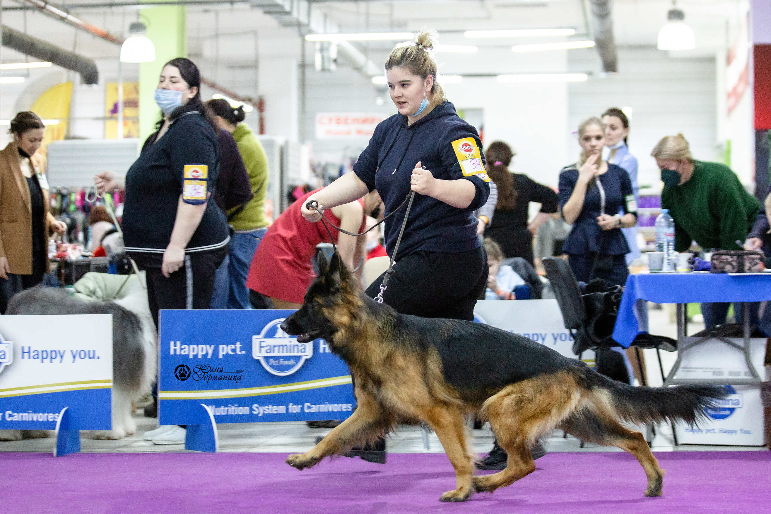 Чайна-Таун 29-30 января 2022. Фотограф-анималист Юлия Германика