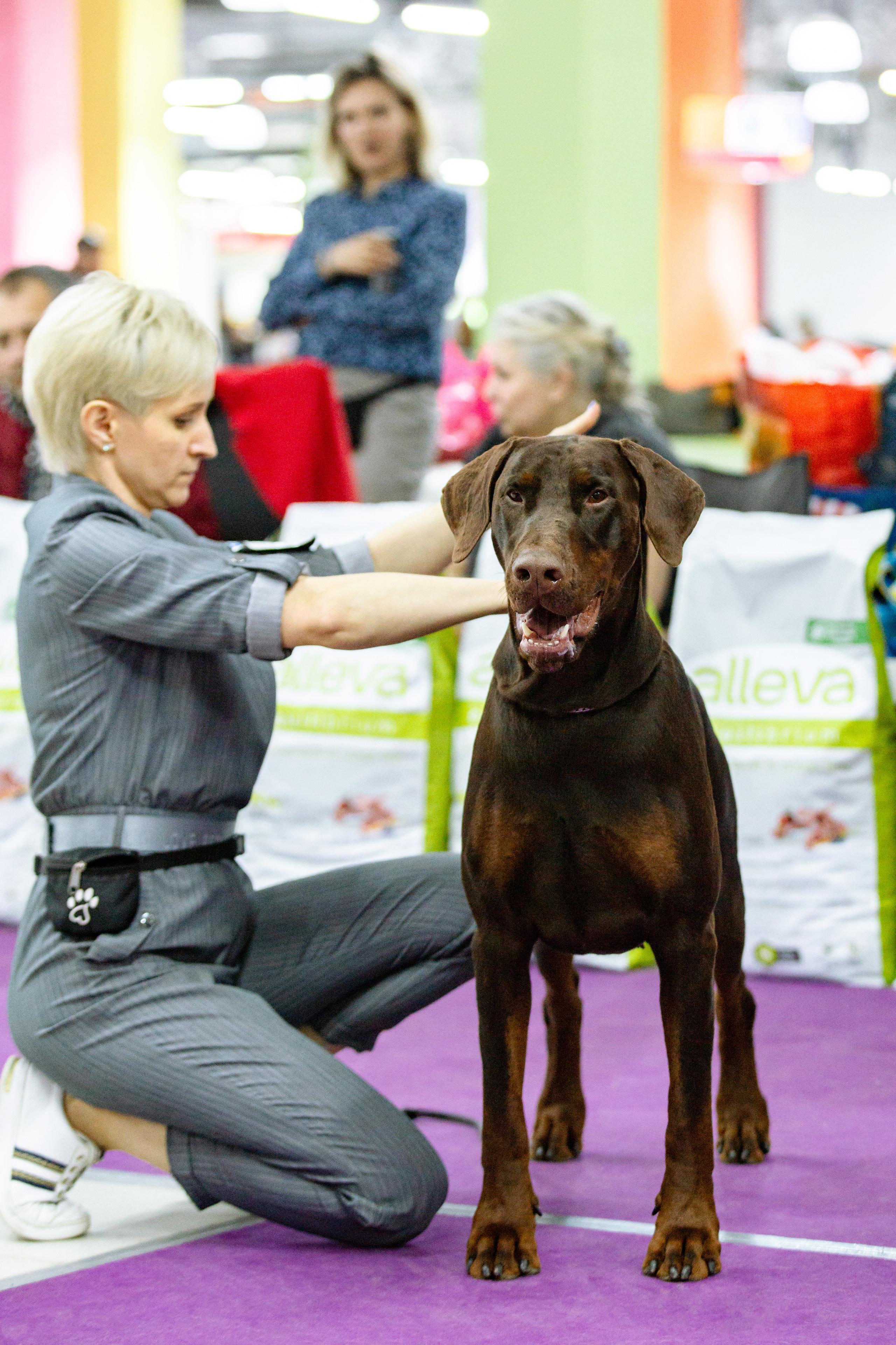 Чайна-Таун ПК Доберманов  3 апреля 2022. Фотограф-анималист Юлия Германика