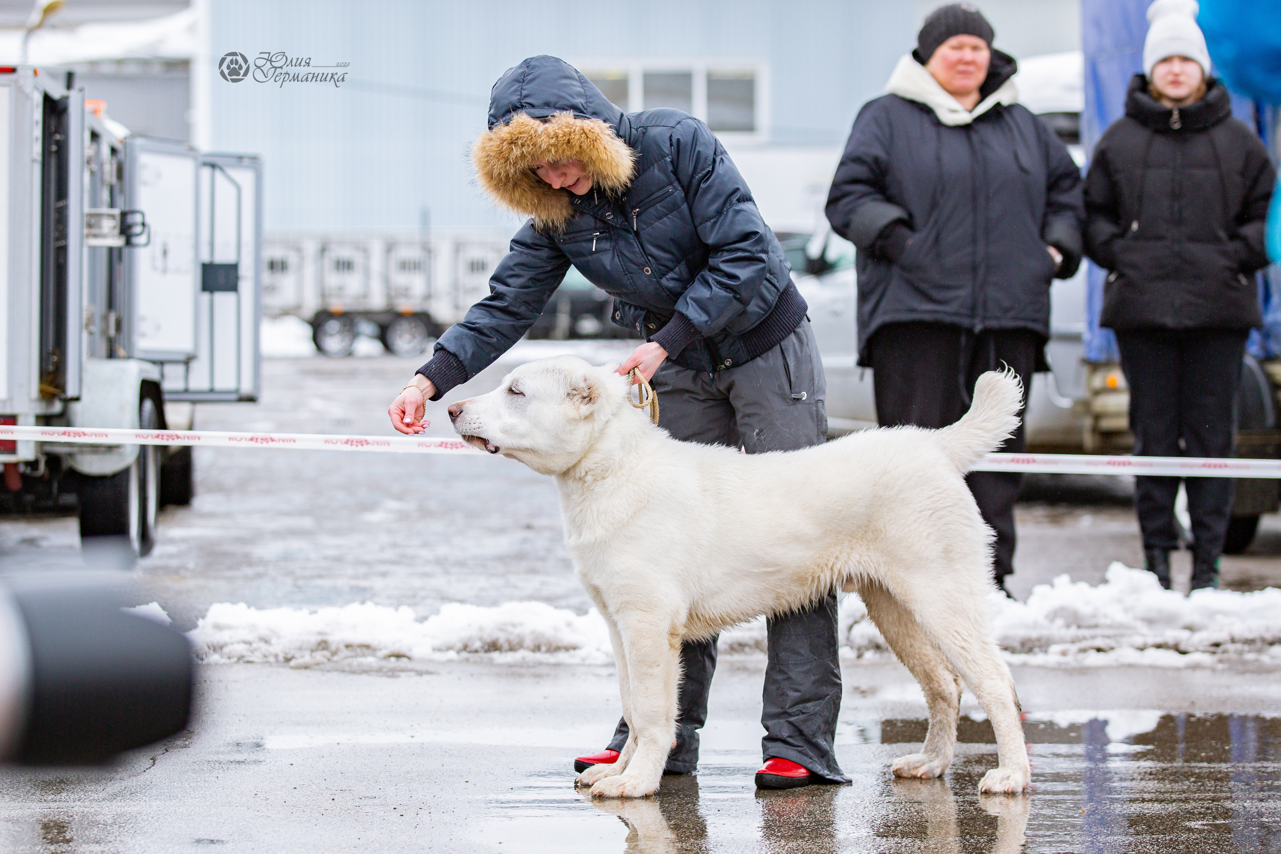 2хМОНО САО Рязань 02 апреля 2022. Фотограф-анималист Юлия Германика