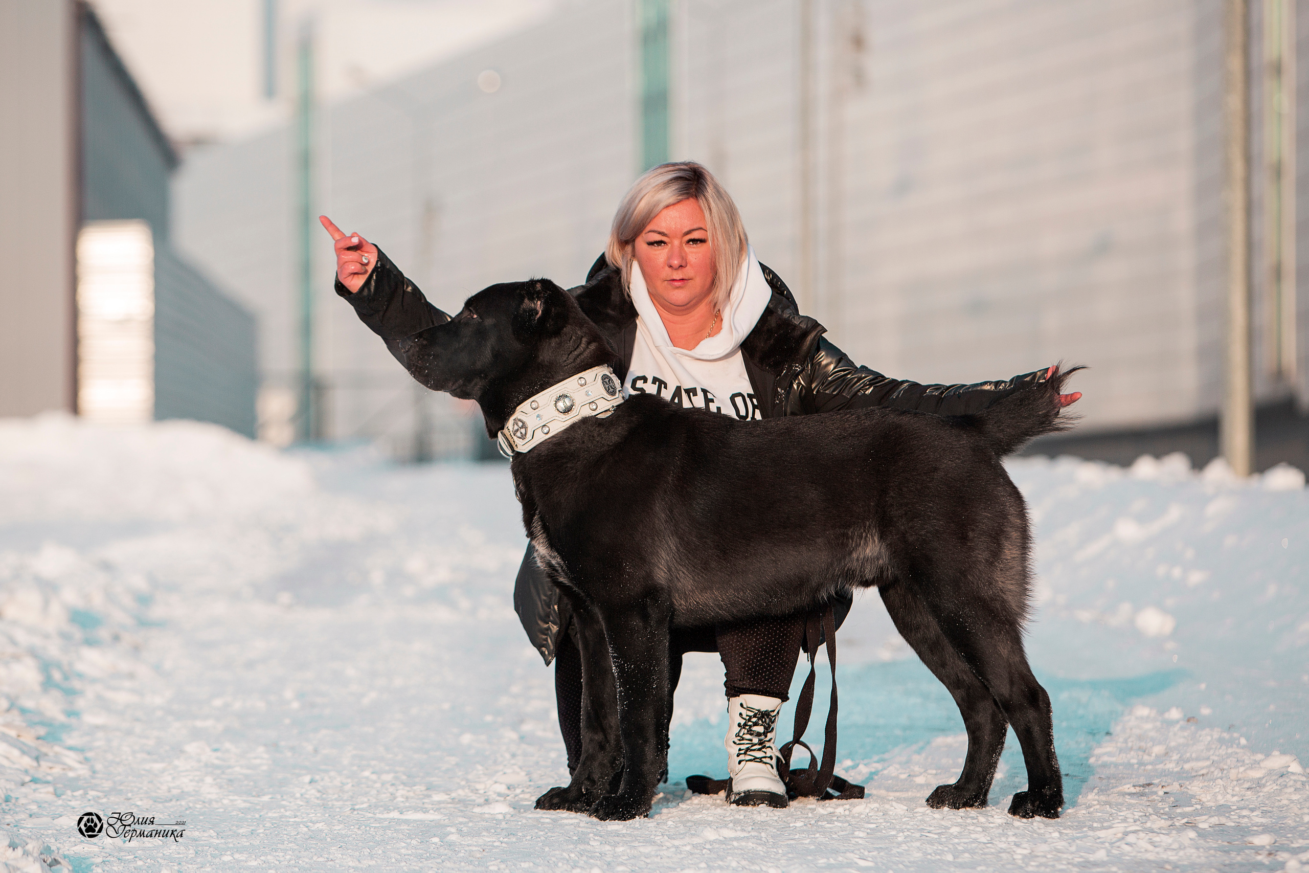 Свободная съемка. Фотограф-анималист Юлия Германика
