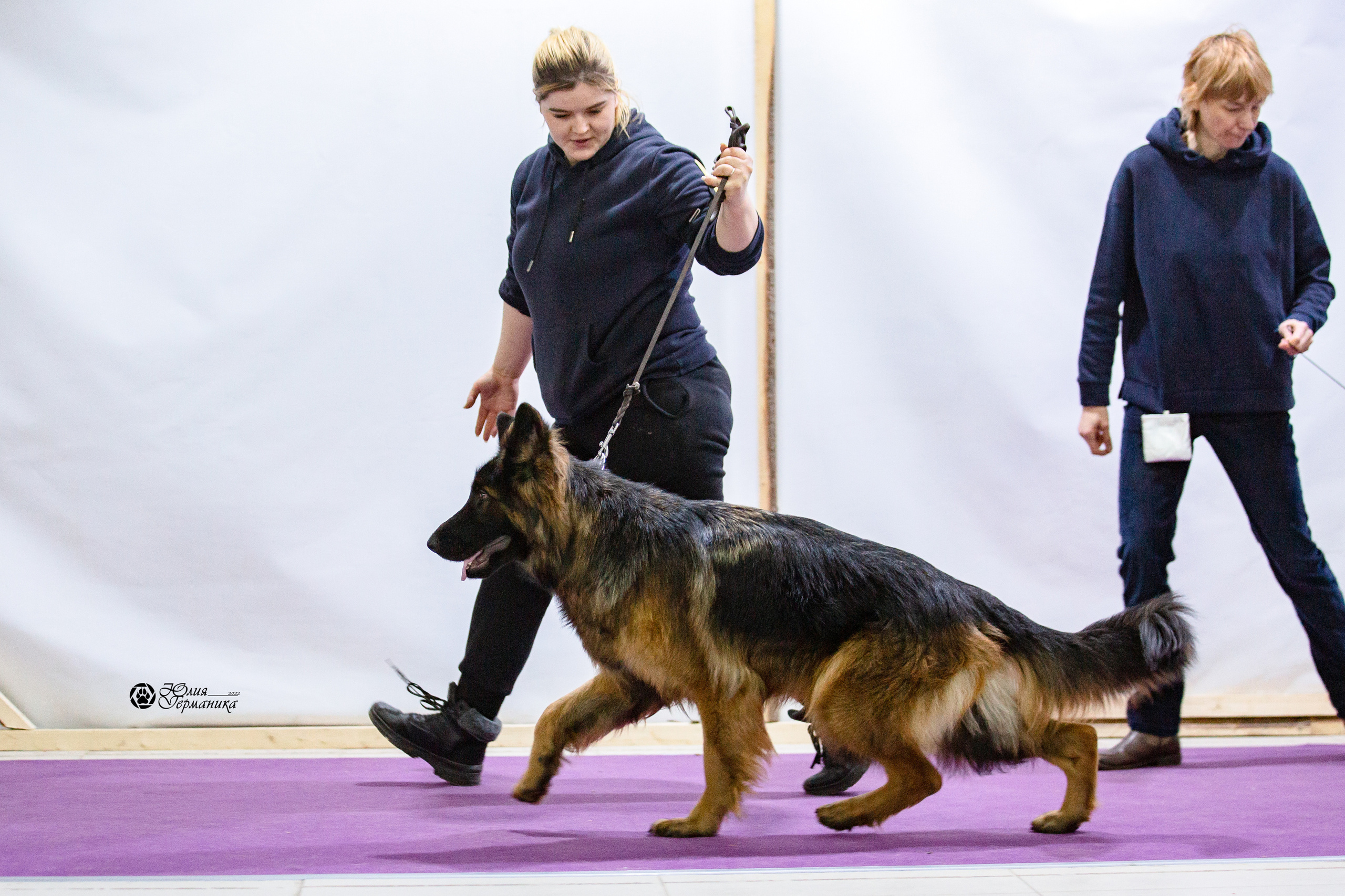 Чайна-Таун 12-13 февраля 2022. Фотограф-анималист Юлия Германика