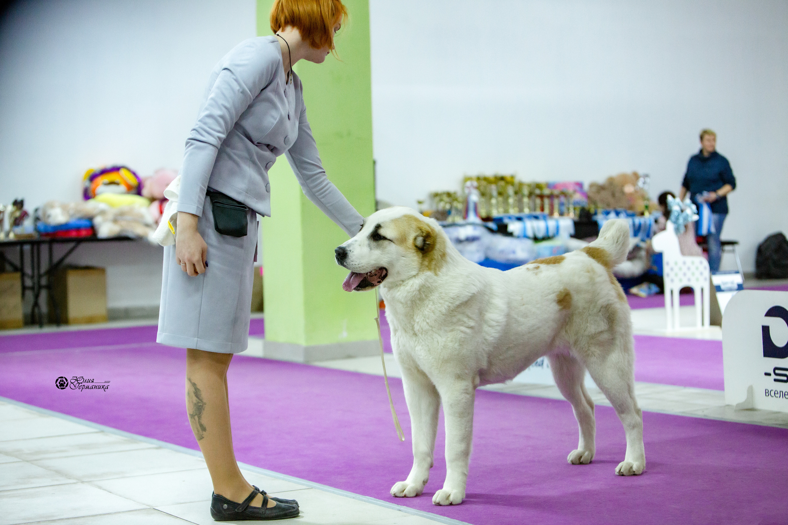 Чайна-Таун 8 января 2022. Фотограф-анималист Юлия Германика