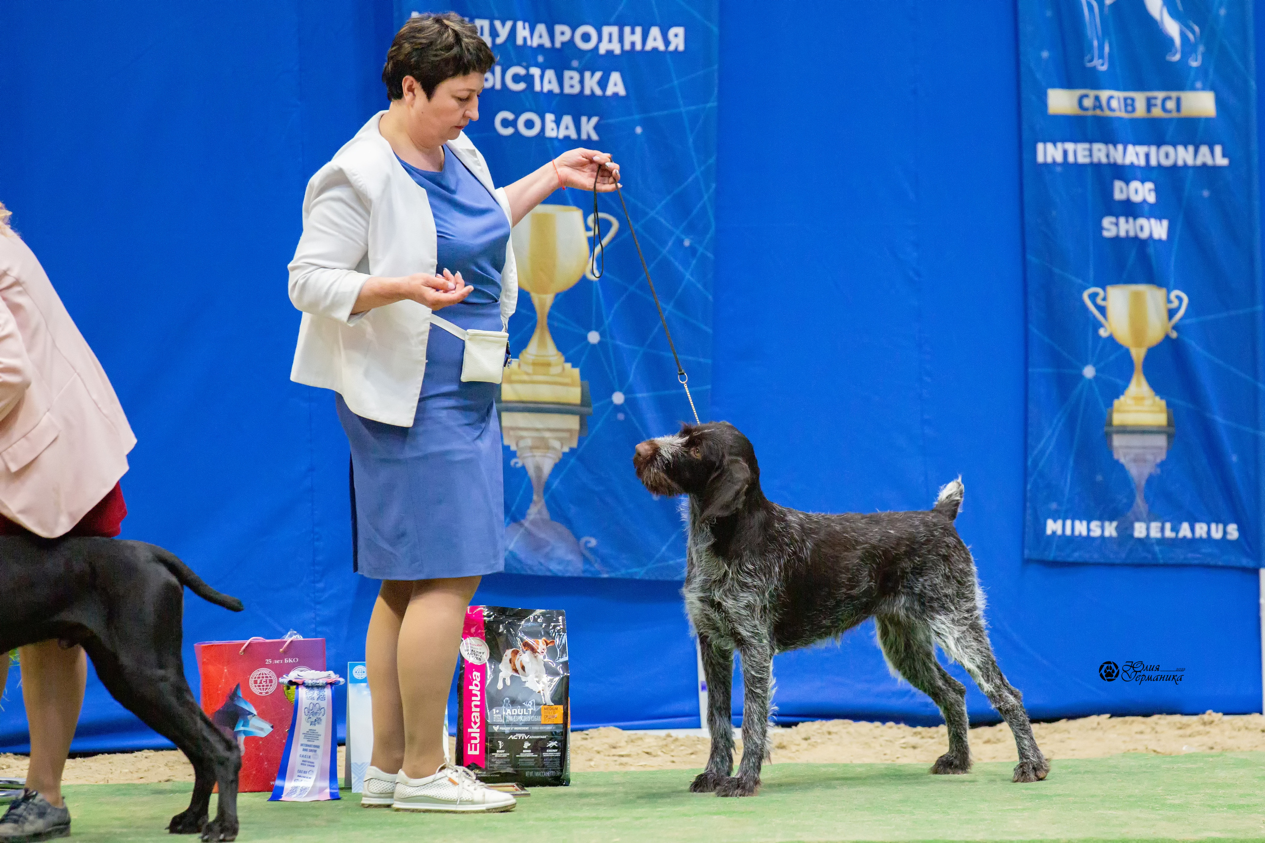 Минск 2хCACIB 5-6 марта 2022. Фотограф-анималист Юлия Германика